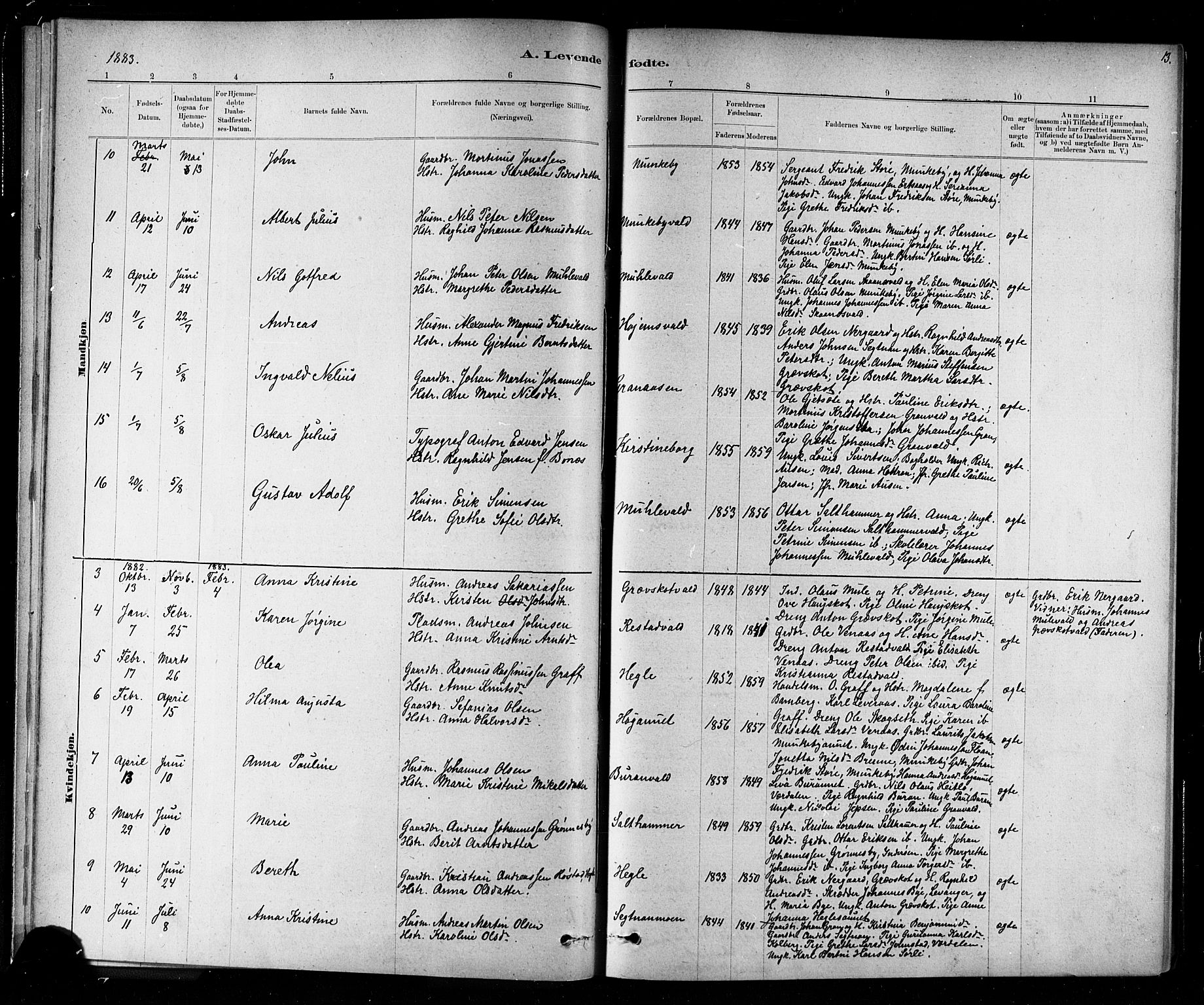 Ministerialprotokoller, klokkerbøker og fødselsregistre - Nord-Trøndelag, SAT/A-1458/721/L0208: Parish register (copy) no. 721C01, 1880-1917, p. 13