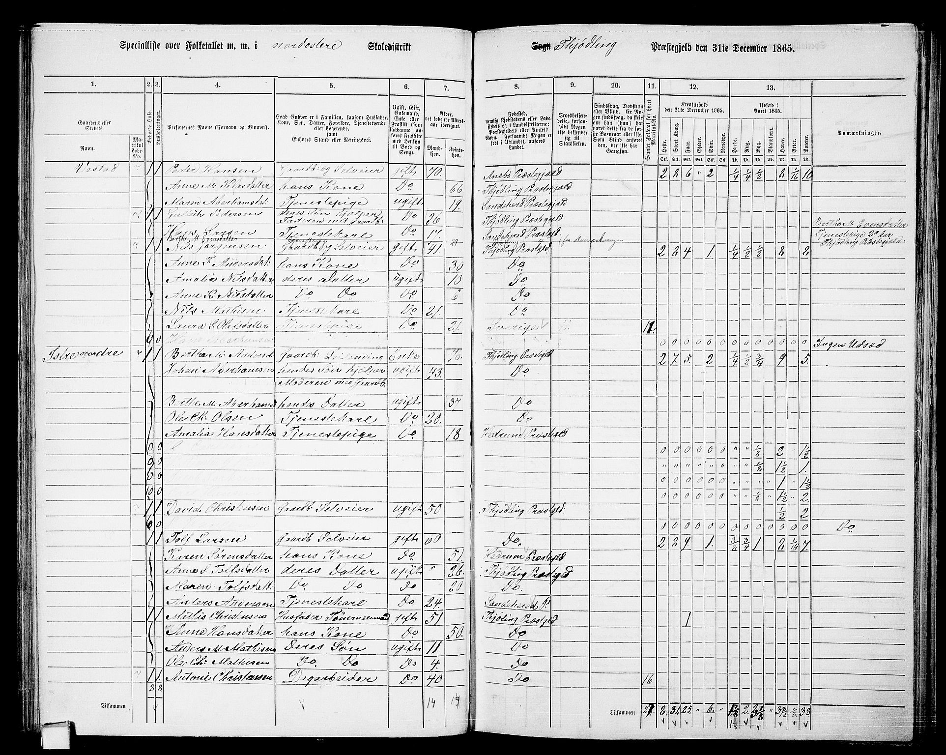 RA, 1865 census for Tjølling, 1865, p. 91