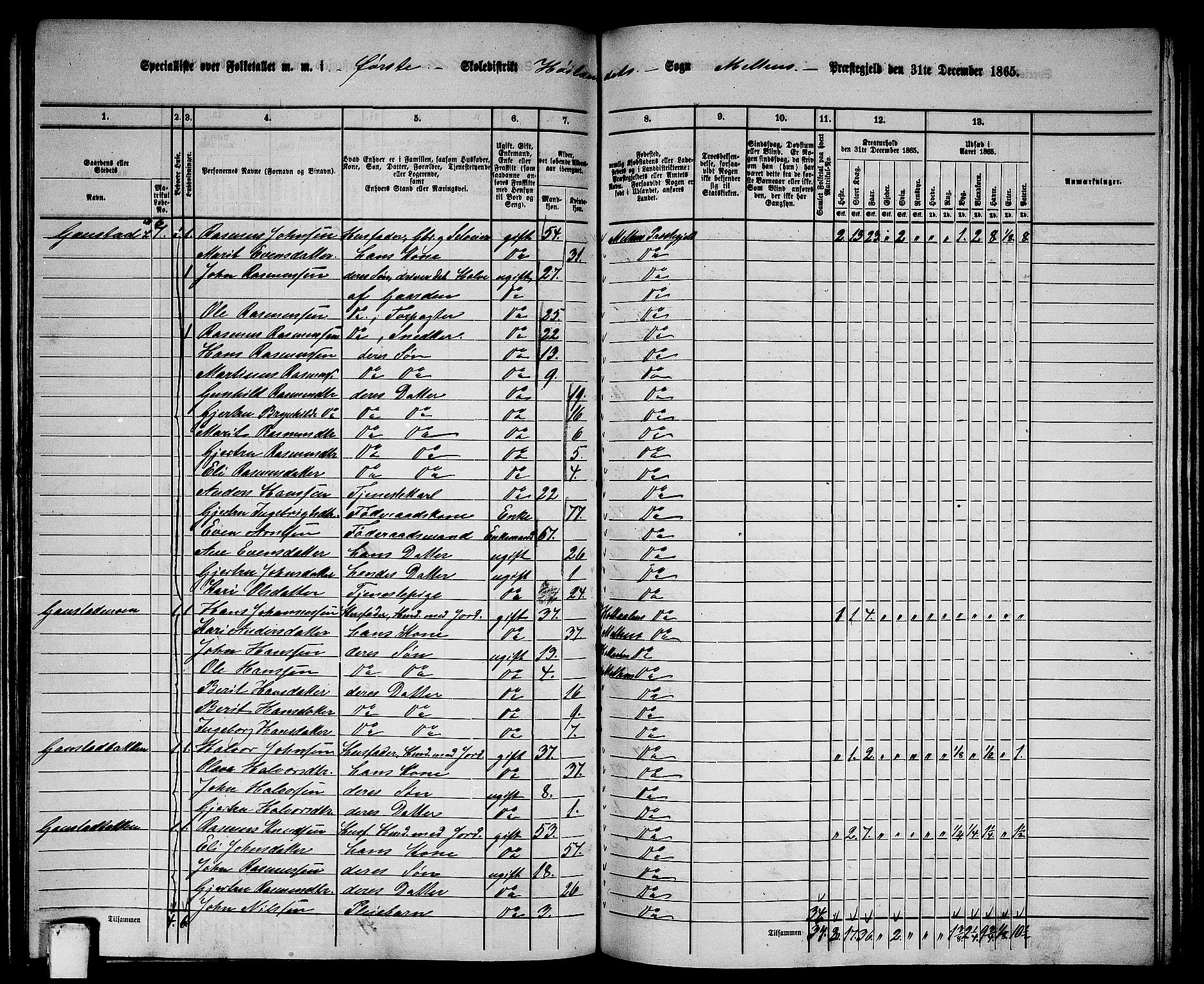 RA, 1865 census for Melhus, 1865, p. 161