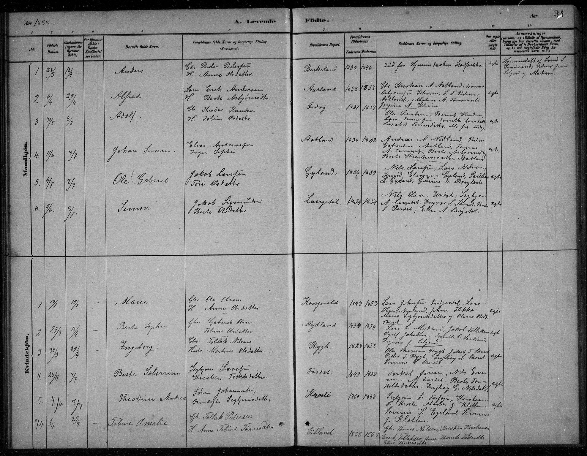 Bakke sokneprestkontor, AV/SAK-1111-0002/F/Fb/Fbb/L0003: Parish register (copy) no. B 3, 1878-1896, p. 34