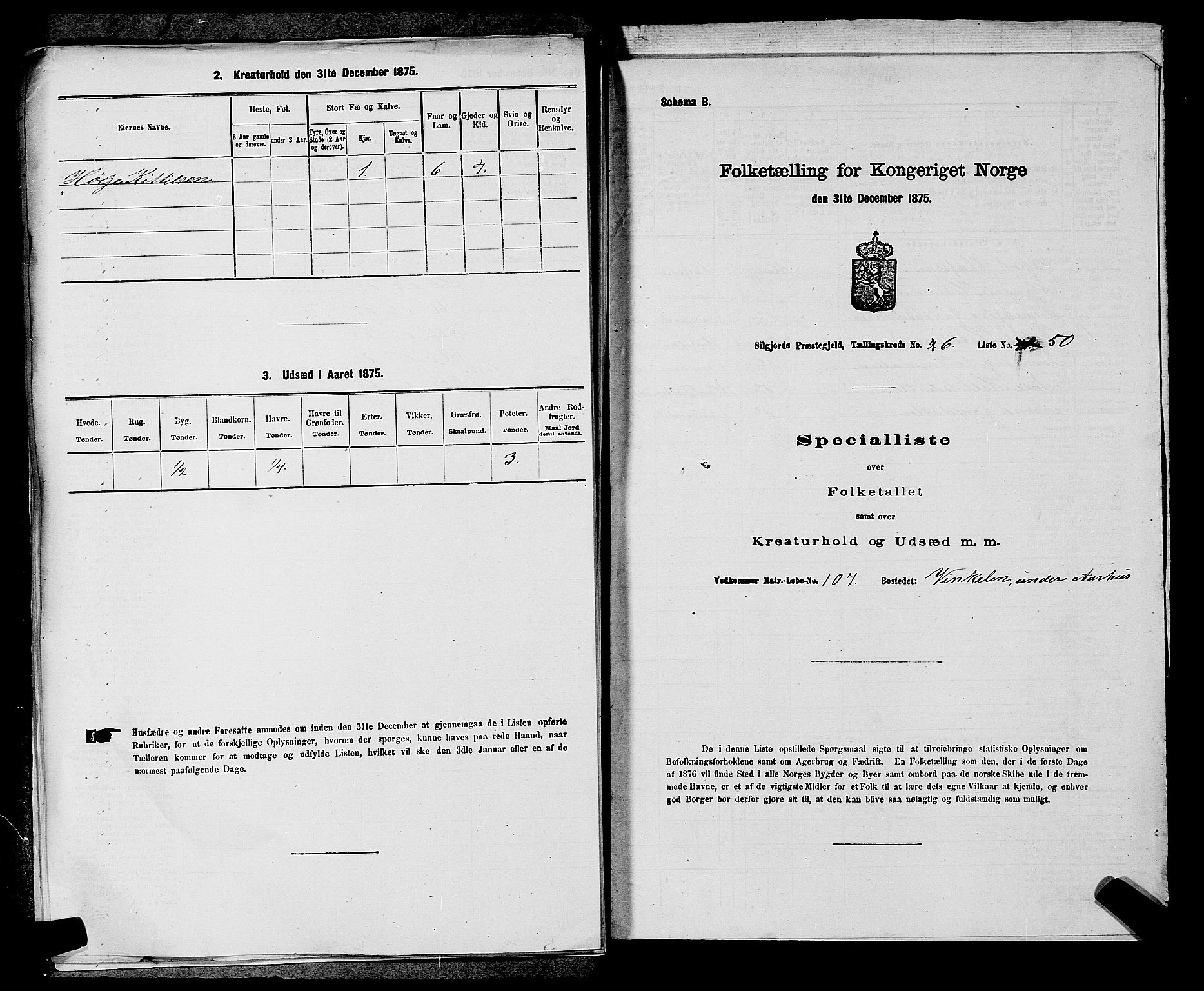 SAKO, 1875 census for 0828P Seljord, 1875, p. 812