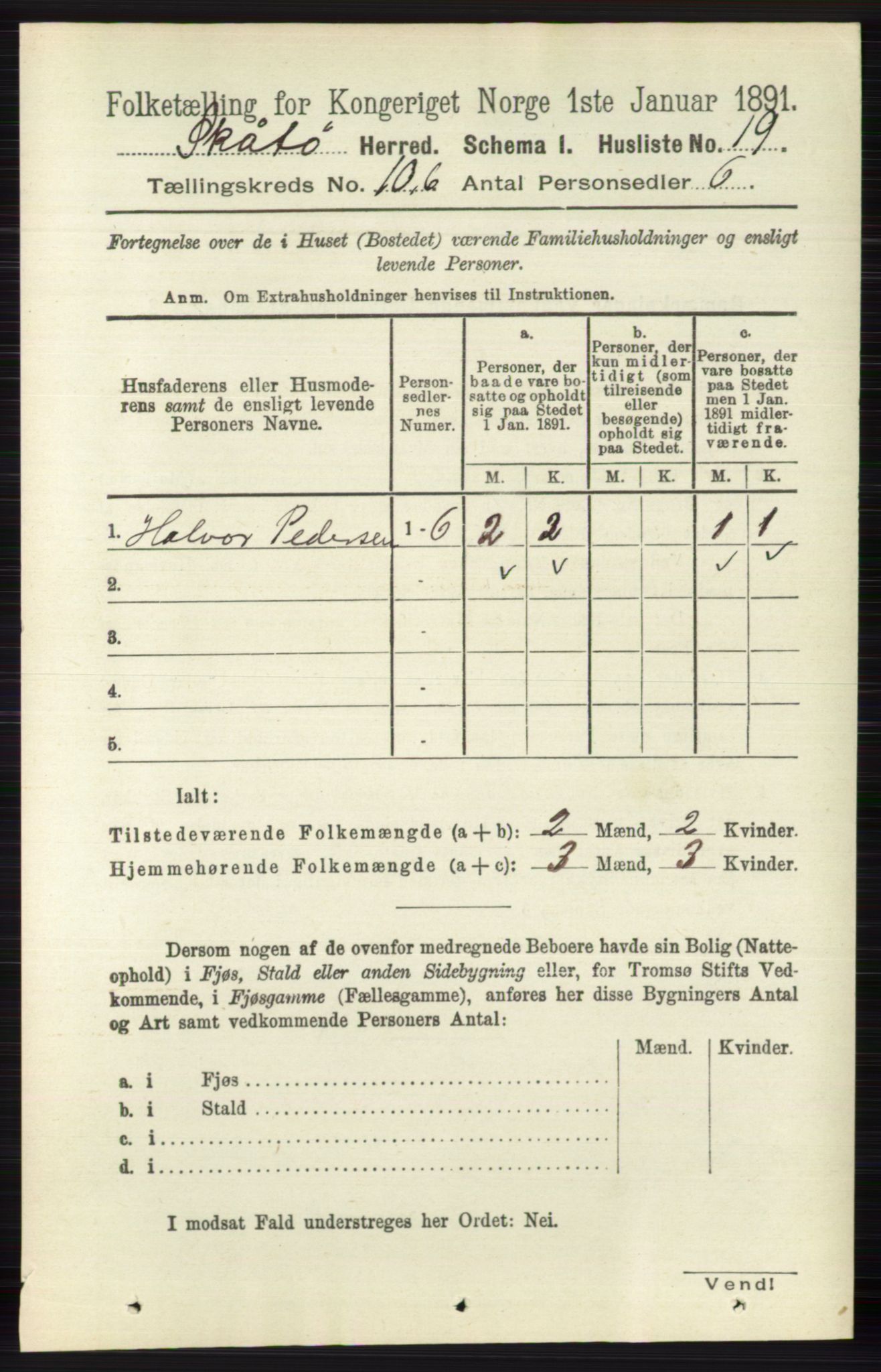 RA, 1891 census for 0815 Skåtøy, 1891, p. 4125