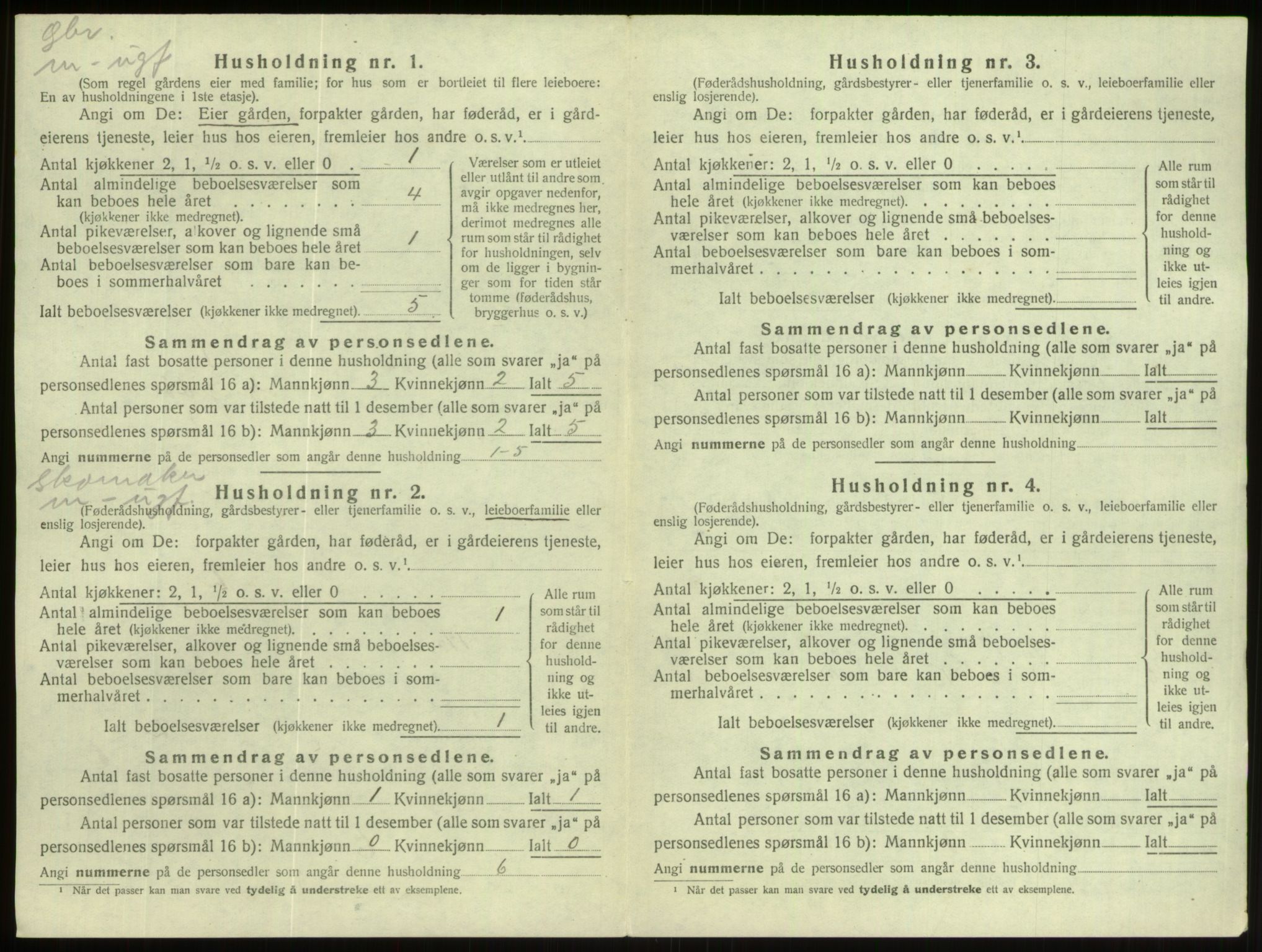 SAB, 1920 census for Hornindal, 1920, p. 312