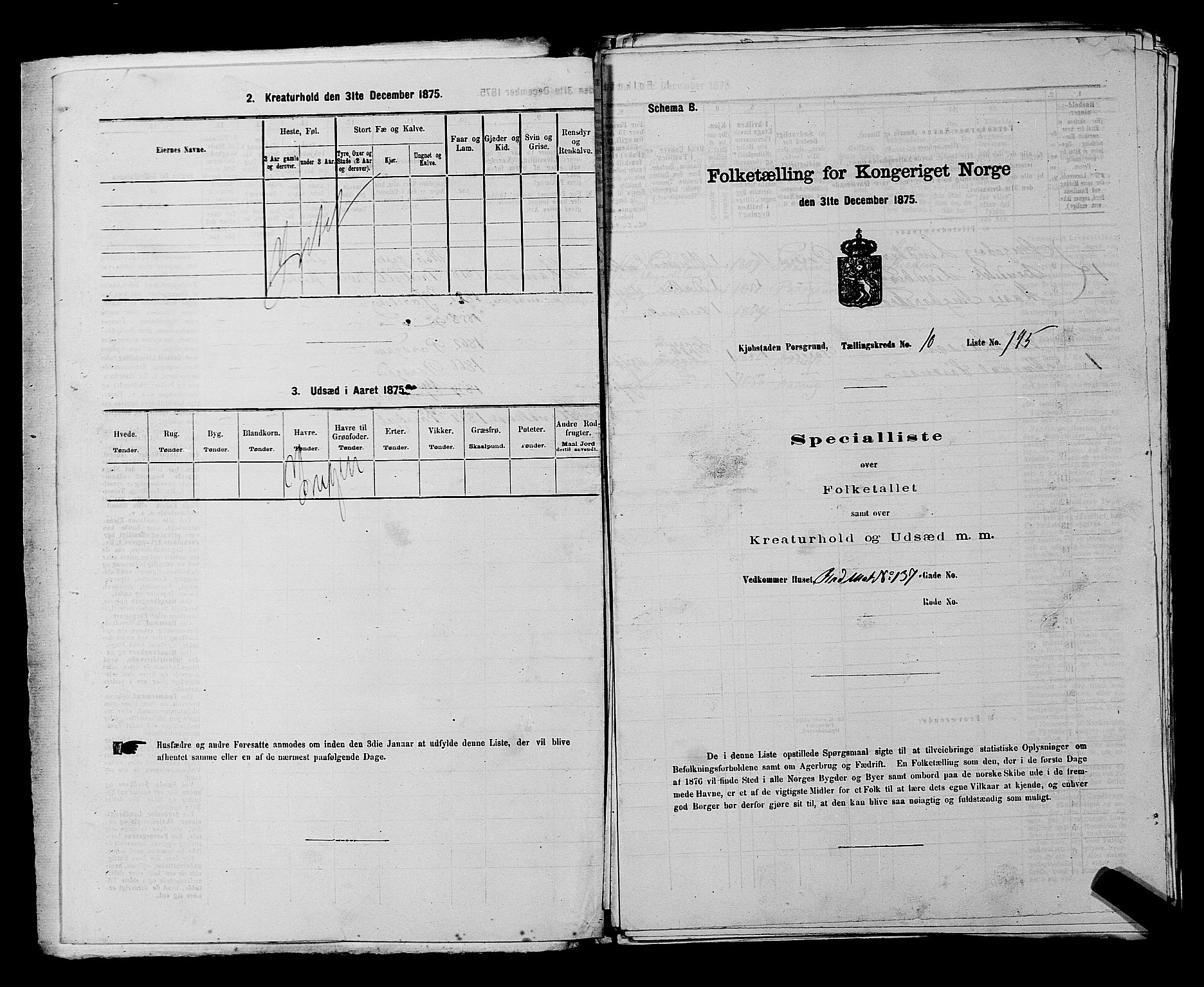 SAKO, 1875 census for 0805P Porsgrunn, 1875, p. 455