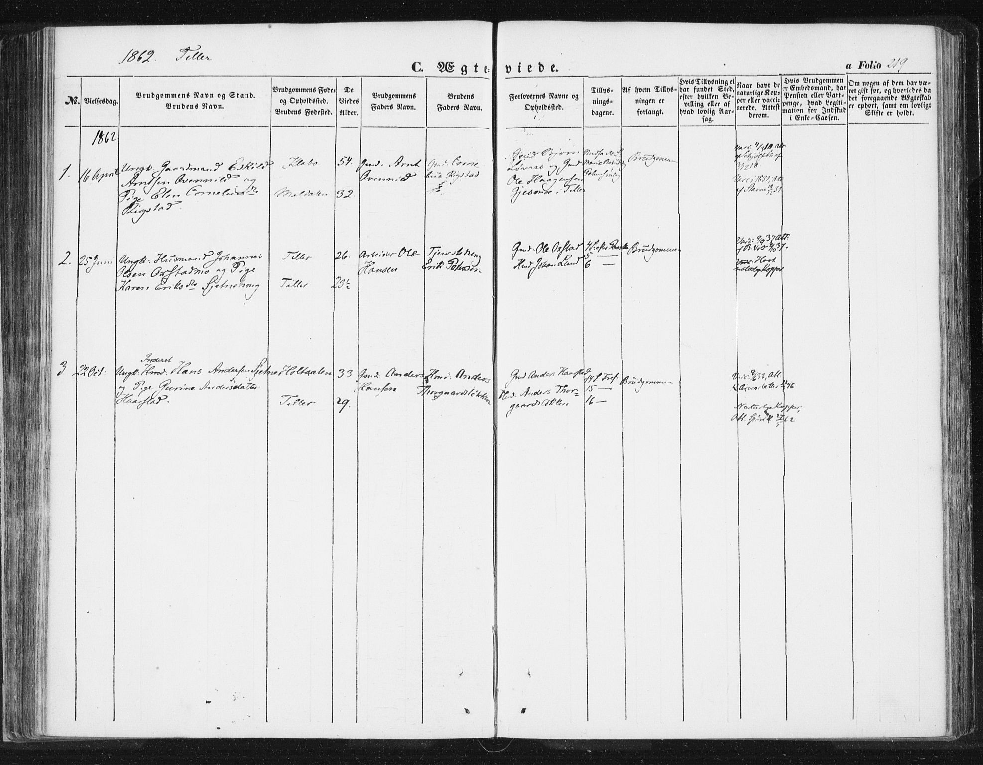 Ministerialprotokoller, klokkerbøker og fødselsregistre - Sør-Trøndelag, SAT/A-1456/618/L0441: Parish register (official) no. 618A05, 1843-1862, p. 219