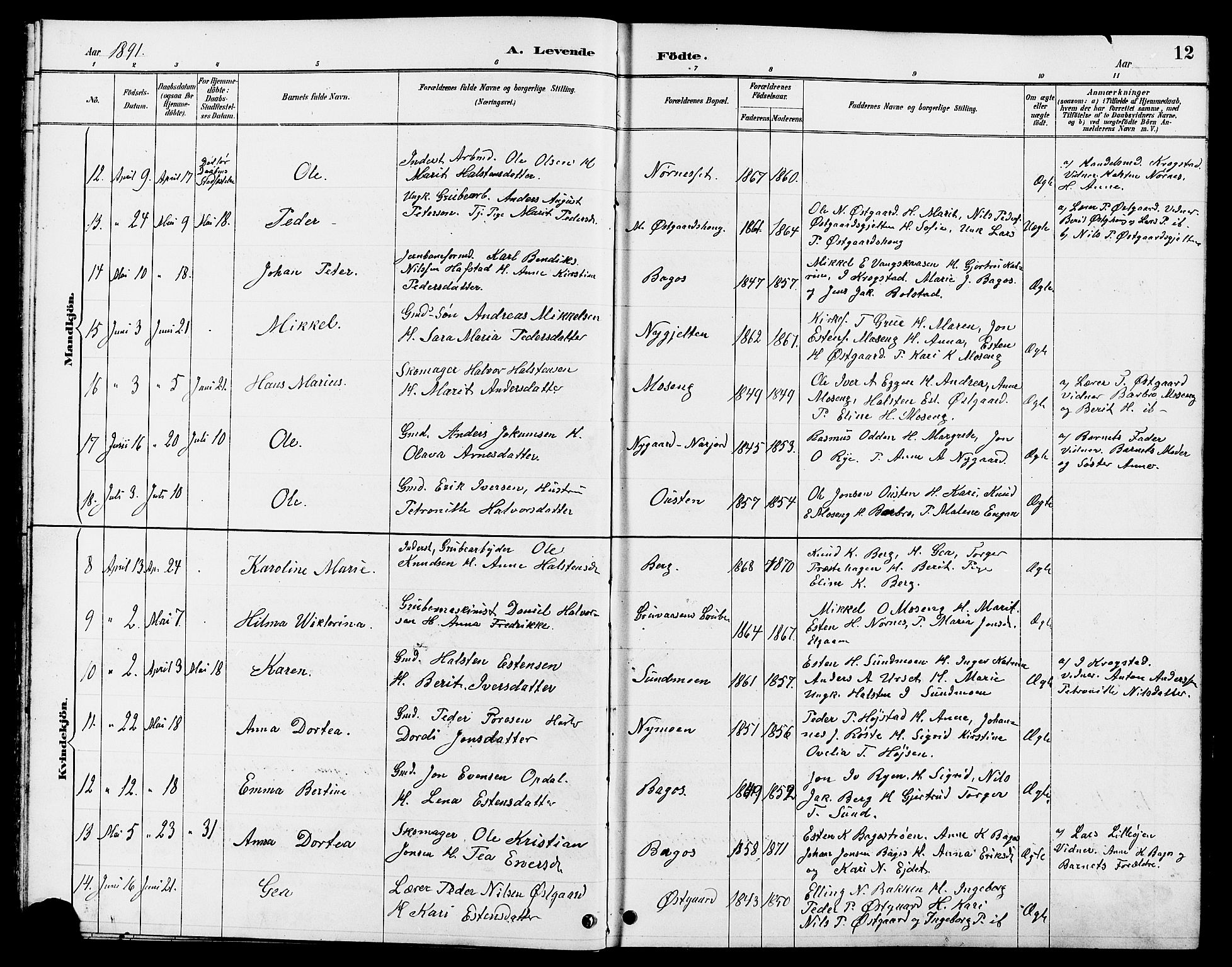 Tolga prestekontor, AV/SAH-PREST-062/L/L0008: Parish register (copy) no. 8, 1887-1912, p. 12