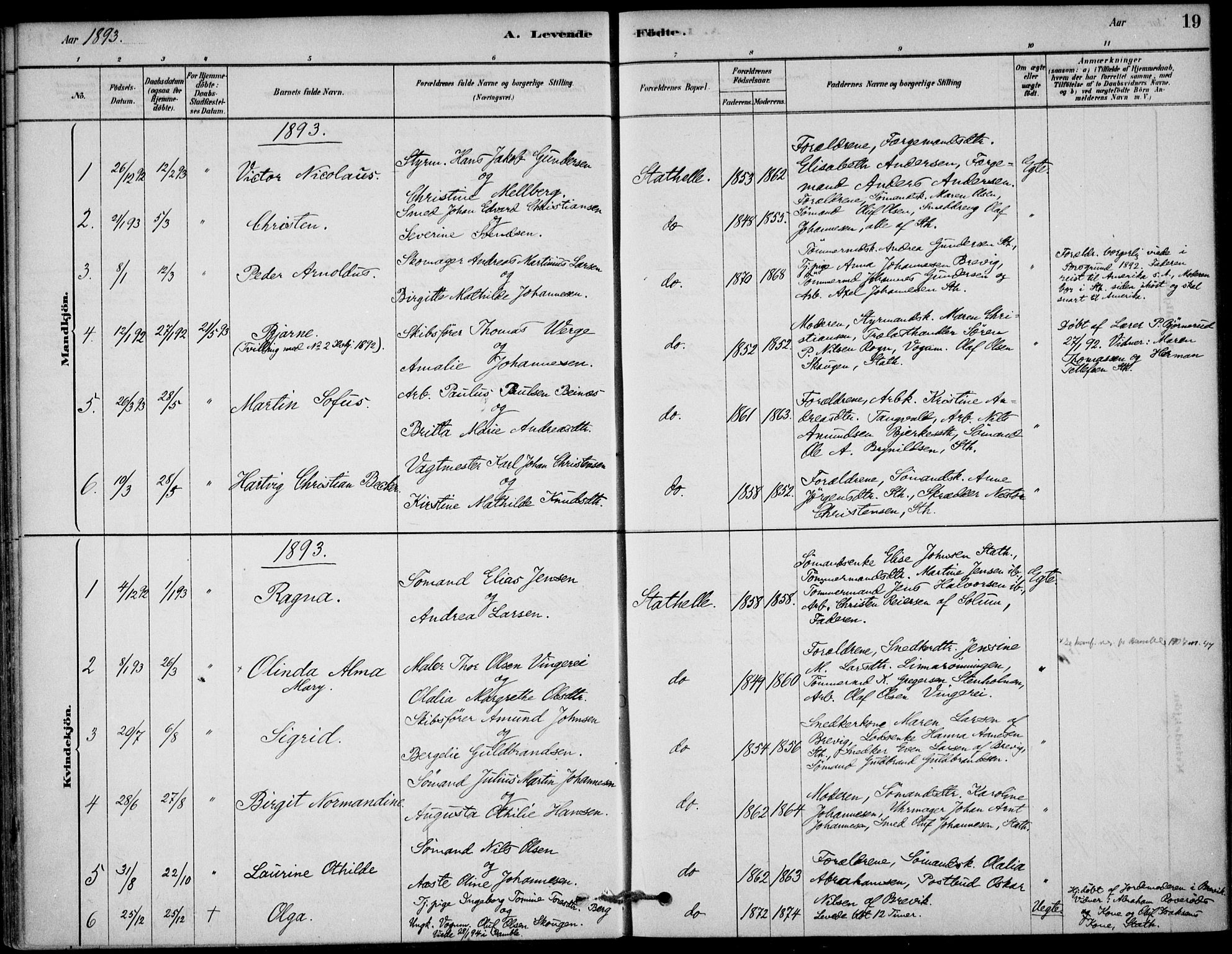 Bamble kirkebøker, SAKO/A-253/G/Gb/L0001: Parish register (copy) no. II 1, 1878-1900, p. 19