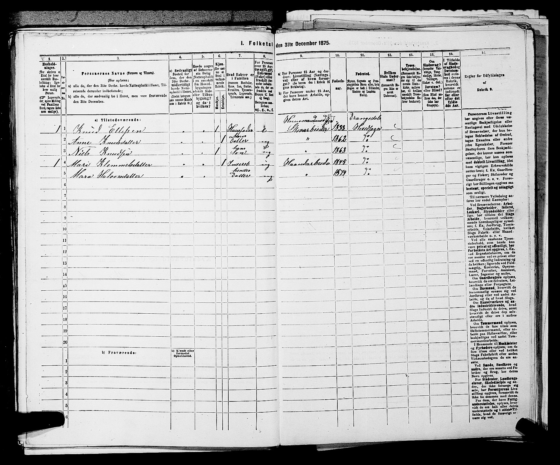 SAKO, 1875 census for 0817P Drangedal, 1875, p. 146