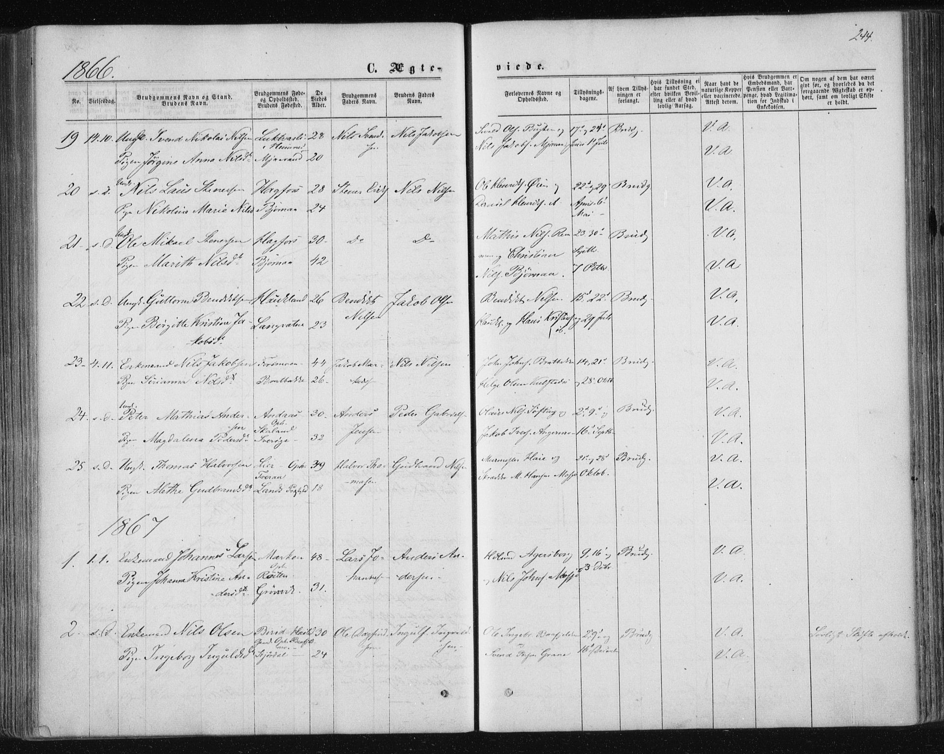 Ministerialprotokoller, klokkerbøker og fødselsregistre - Nordland, SAT/A-1459/820/L0294: Parish register (official) no. 820A15, 1866-1879, p. 244