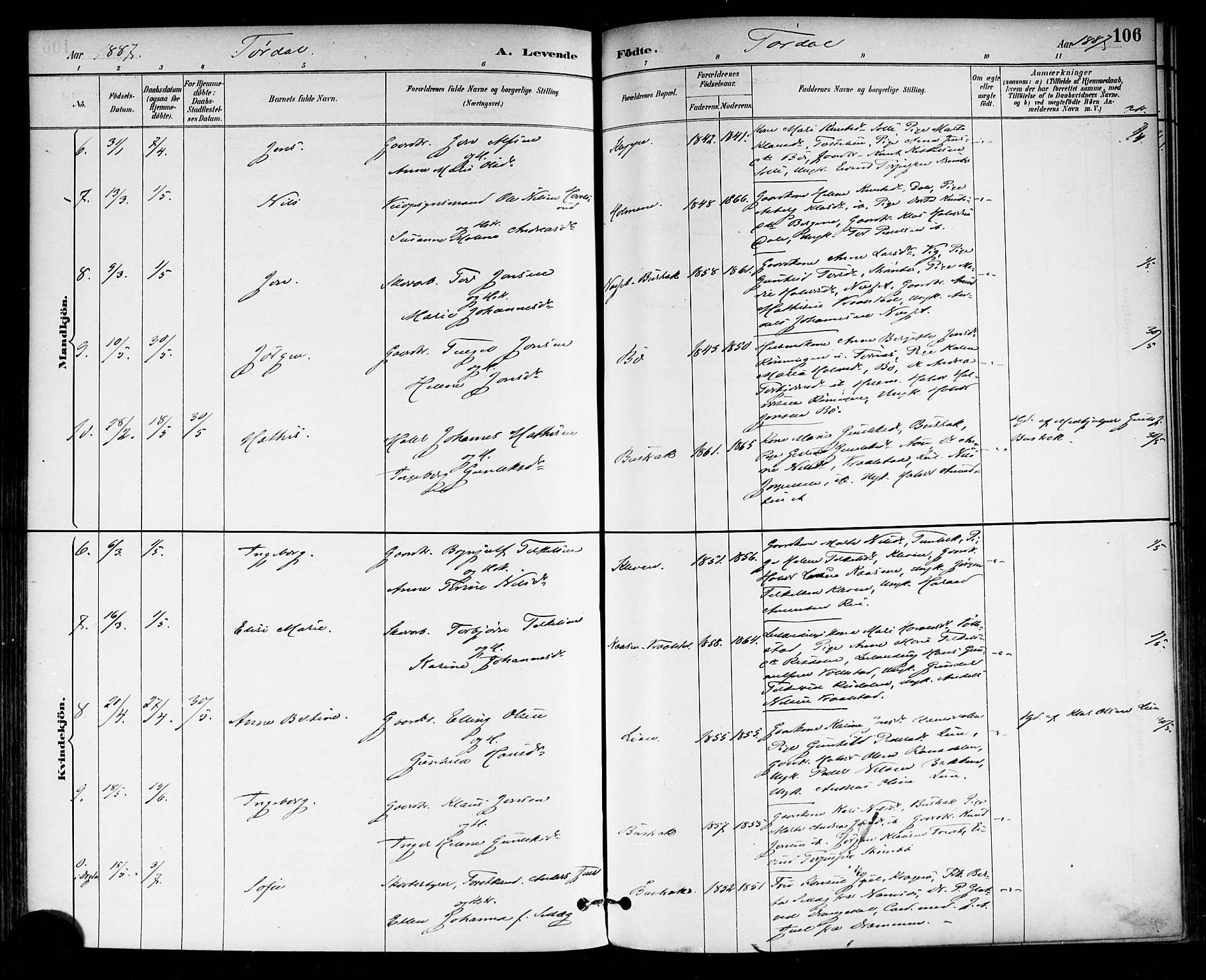 Drangedal kirkebøker, AV/SAKO-A-258/F/Fa/L0010: Parish register (official) no. 10 /2, 1885-1894, p. 106