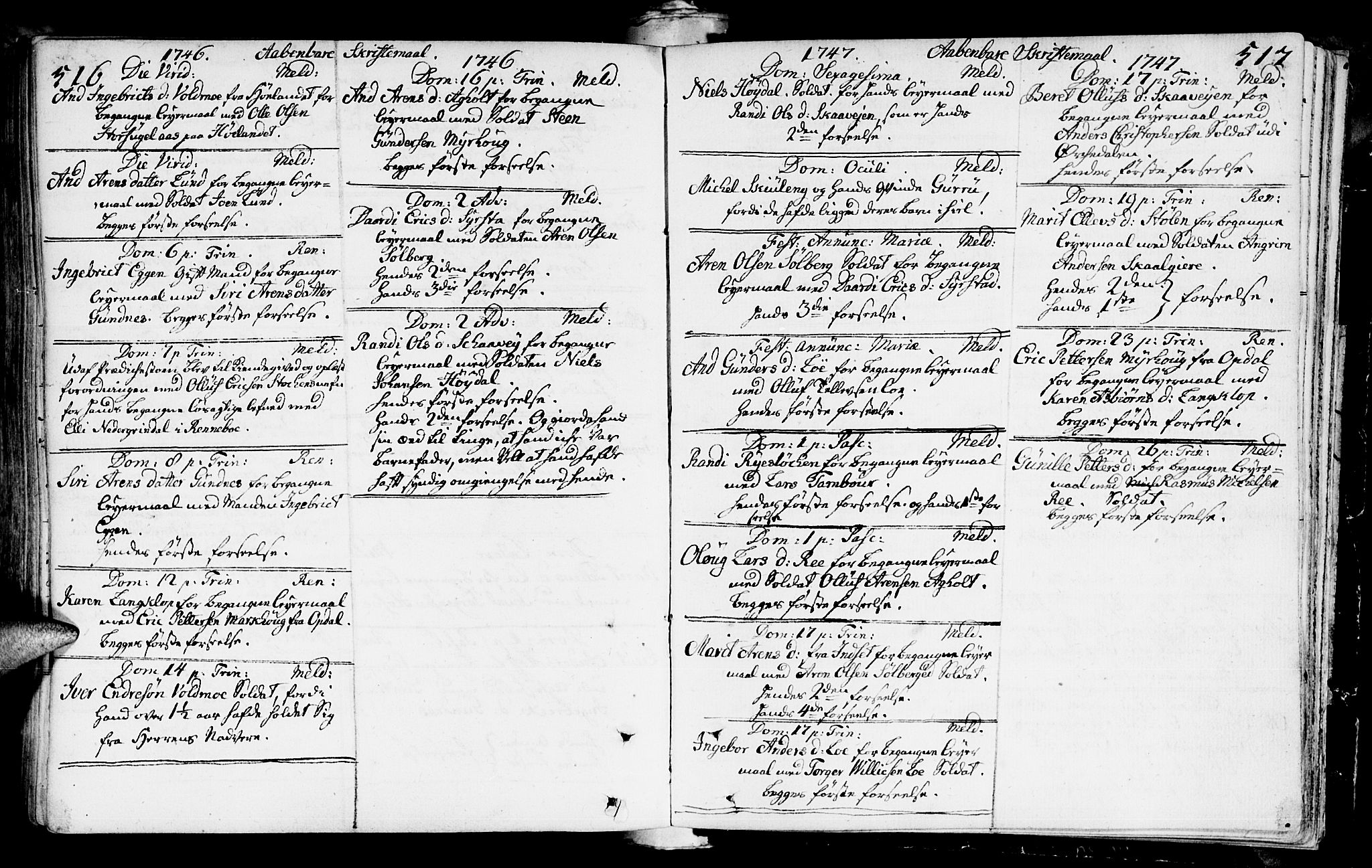 Ministerialprotokoller, klokkerbøker og fødselsregistre - Sør-Trøndelag, SAT/A-1456/672/L0850: Parish register (official) no. 672A03, 1725-1751, p. 516-517