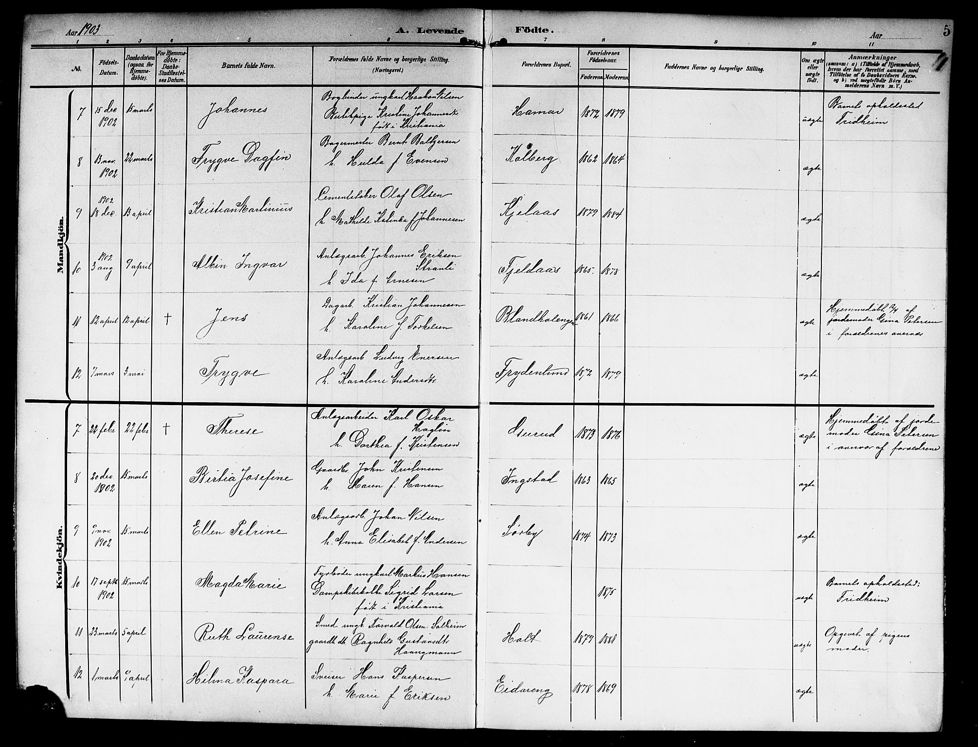 Askim prestekontor Kirkebøker, SAO/A-10900/G/Ga/L0002: Parish register (copy) no. 2, 1903-1921, p. 5