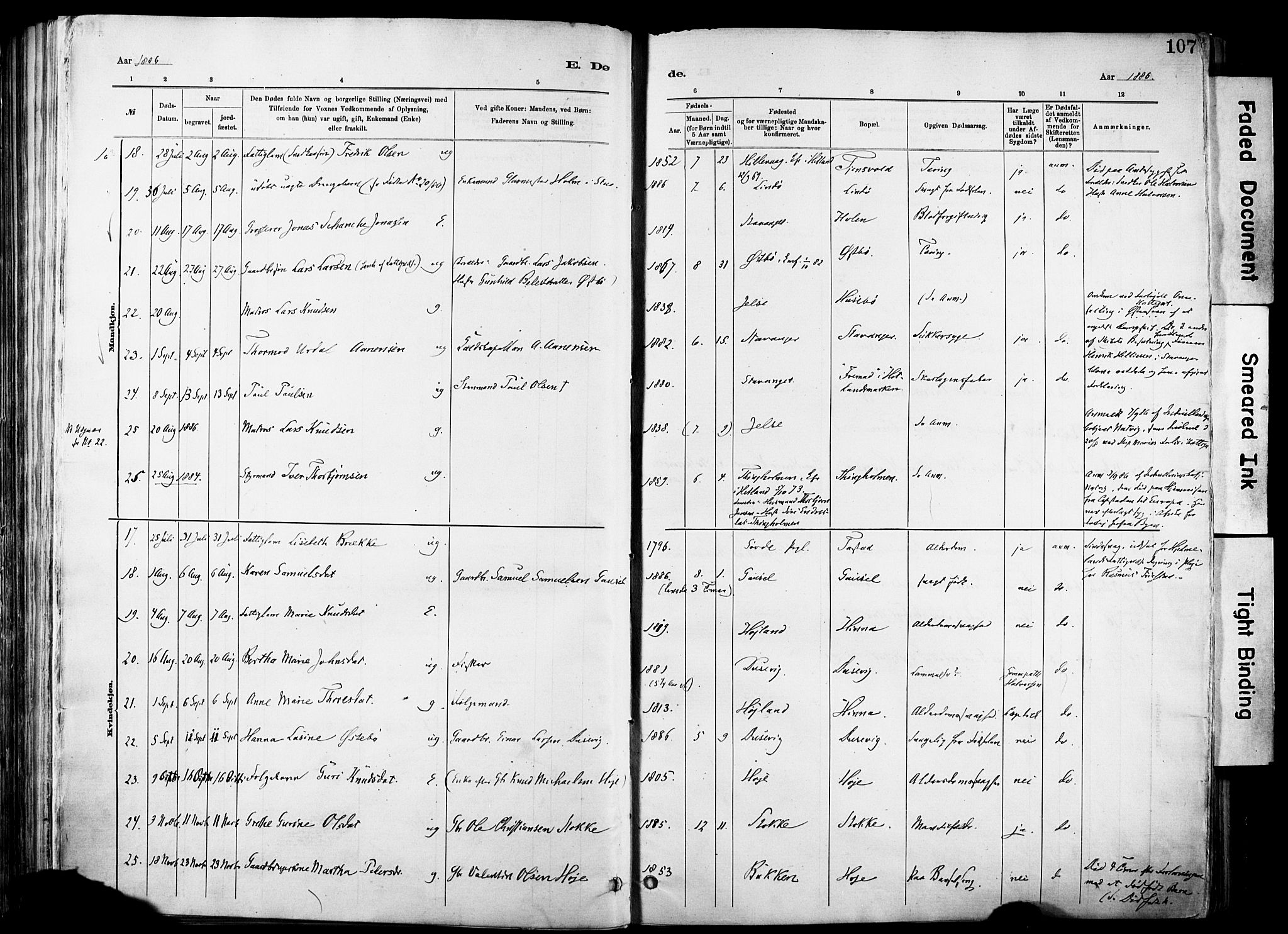 Hetland sokneprestkontor, SAST/A-101826/30/30BA/L0012: Parish register (official) no. A 12, 1882-1912, p. 107