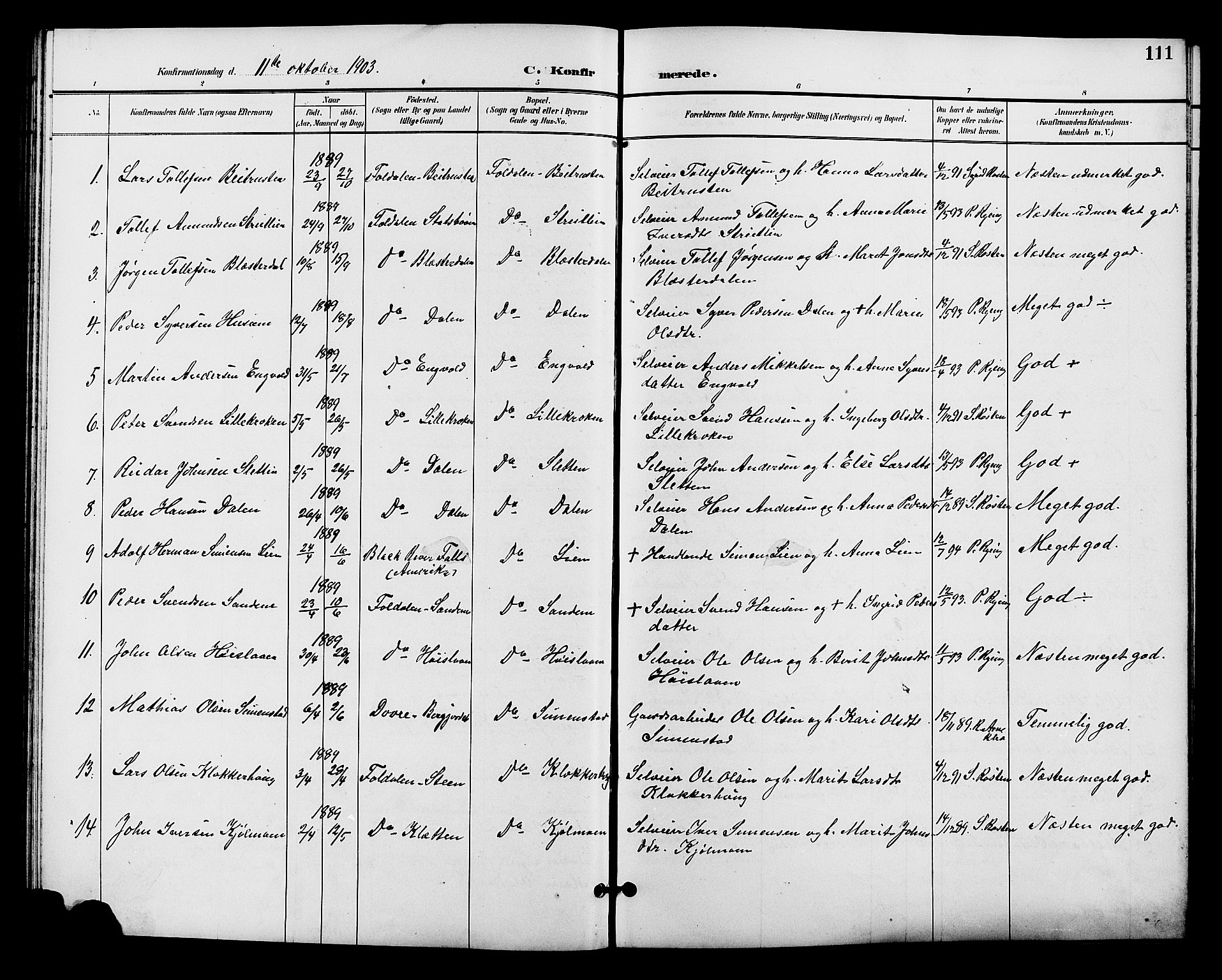 Alvdal prestekontor, AV/SAH-PREST-060/H/Ha/Hab/L0004: Parish register (copy) no. 4, 1894-1910, p. 111
