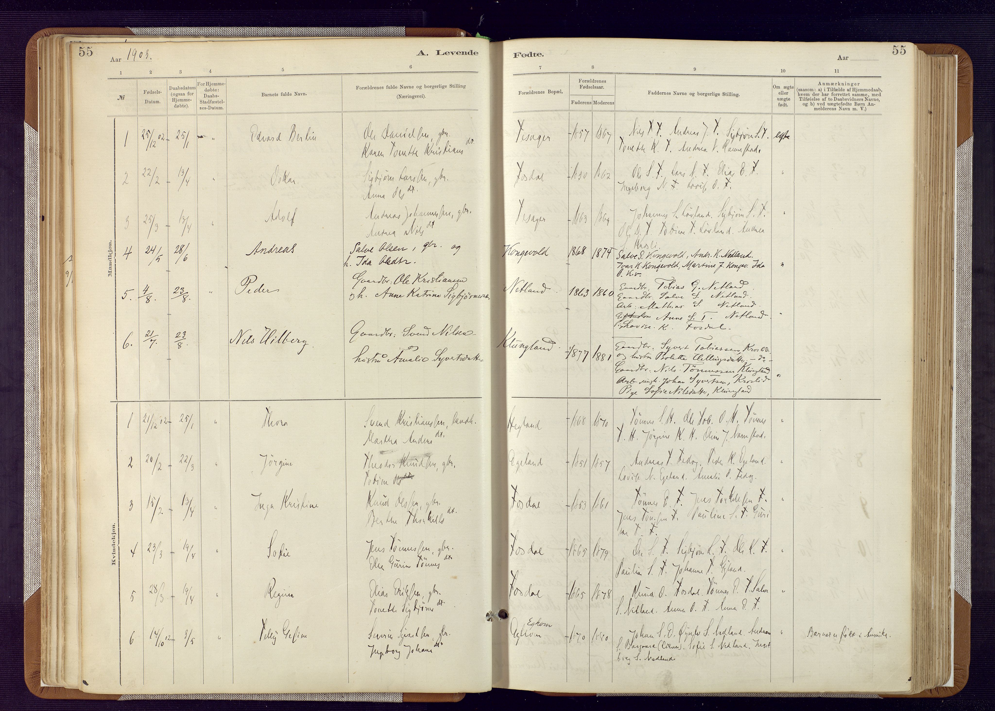 Bakke sokneprestkontor, SAK/1111-0002/F/Fa/Fab/L0003: Parish register (official) no. A 3, 1884-1921, p. 55