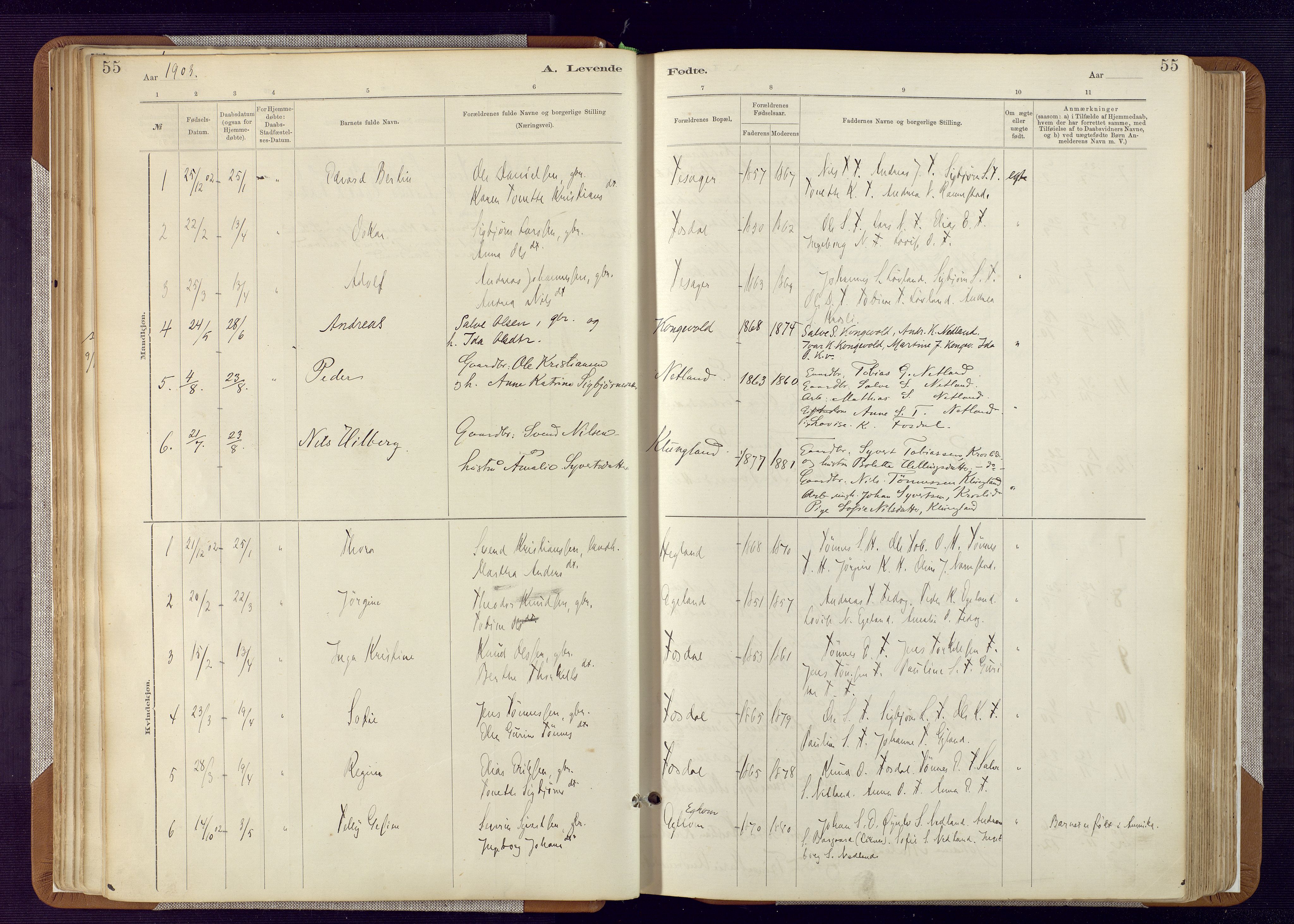 Bakke sokneprestkontor, AV/SAK-1111-0002/F/Fa/Fab/L0003: Parish register (official) no. A 3, 1884-1921, p. 55