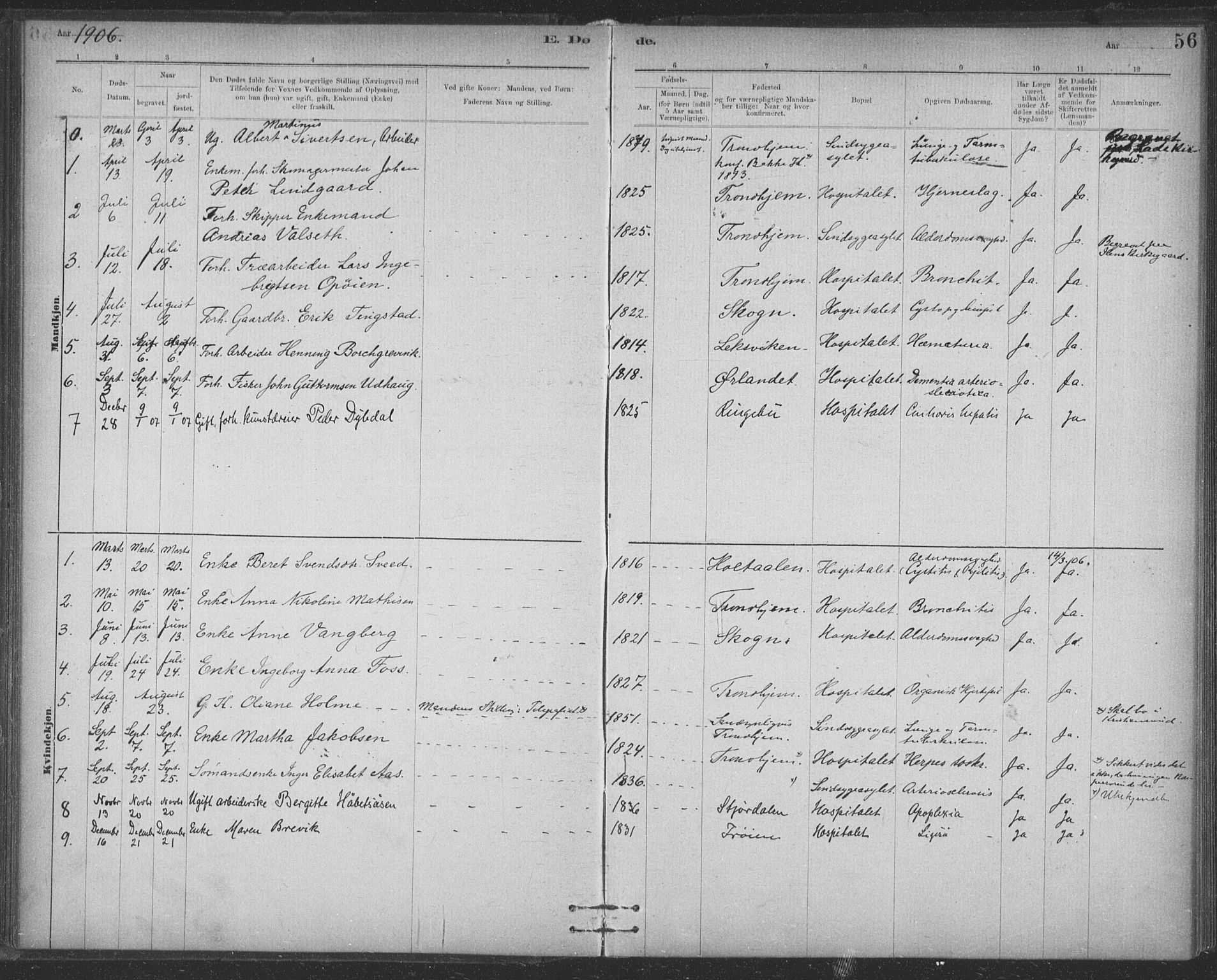 Ministerialprotokoller, klokkerbøker og fødselsregistre - Sør-Trøndelag, SAT/A-1456/623/L0470: Parish register (official) no. 623A04, 1884-1938, p. 56