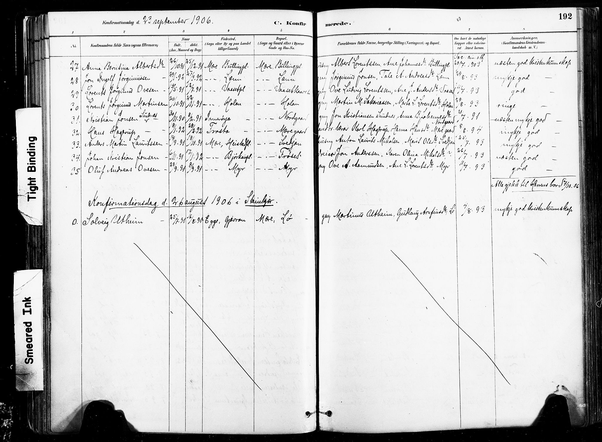 Ministerialprotokoller, klokkerbøker og fødselsregistre - Nord-Trøndelag, SAT/A-1458/735/L0351: Parish register (official) no. 735A10, 1884-1908, p. 192