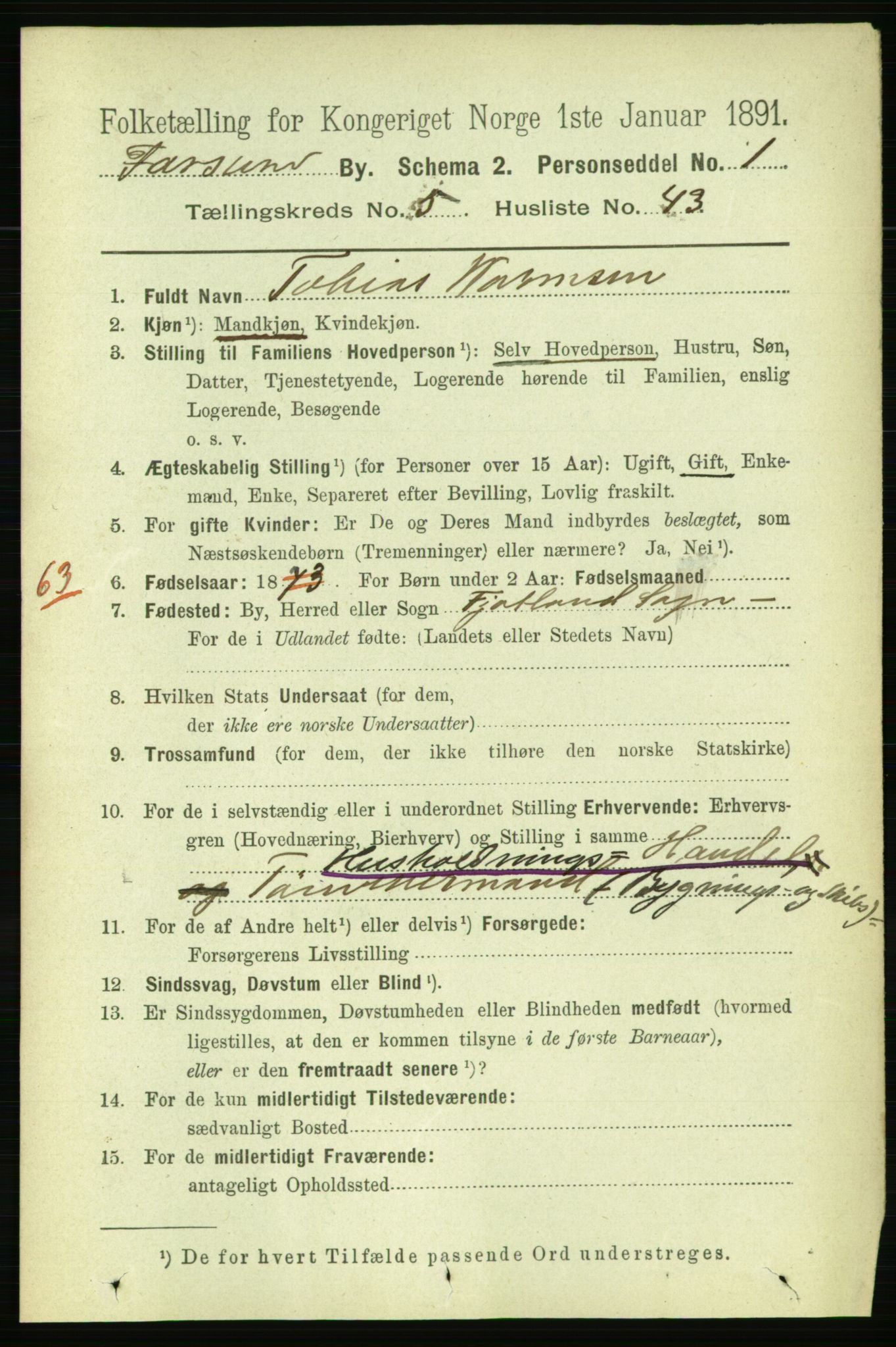 RA, 1891 census for 1003 Farsund, 1891, p. 2205