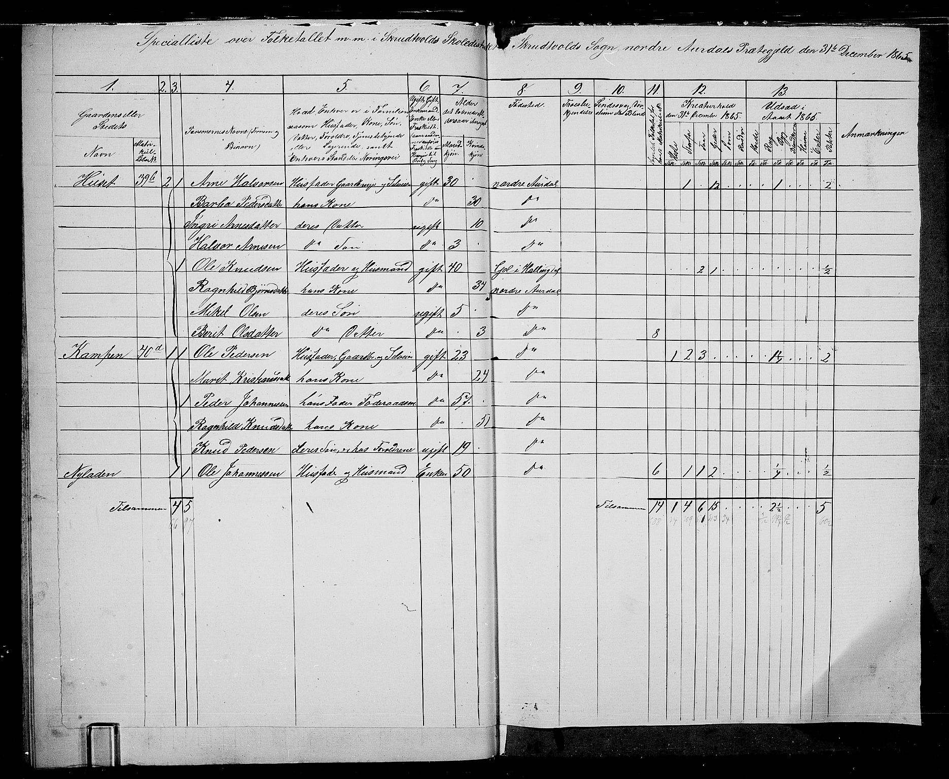 RA, 1865 census for Nord-Aurdal, 1865, p. 38