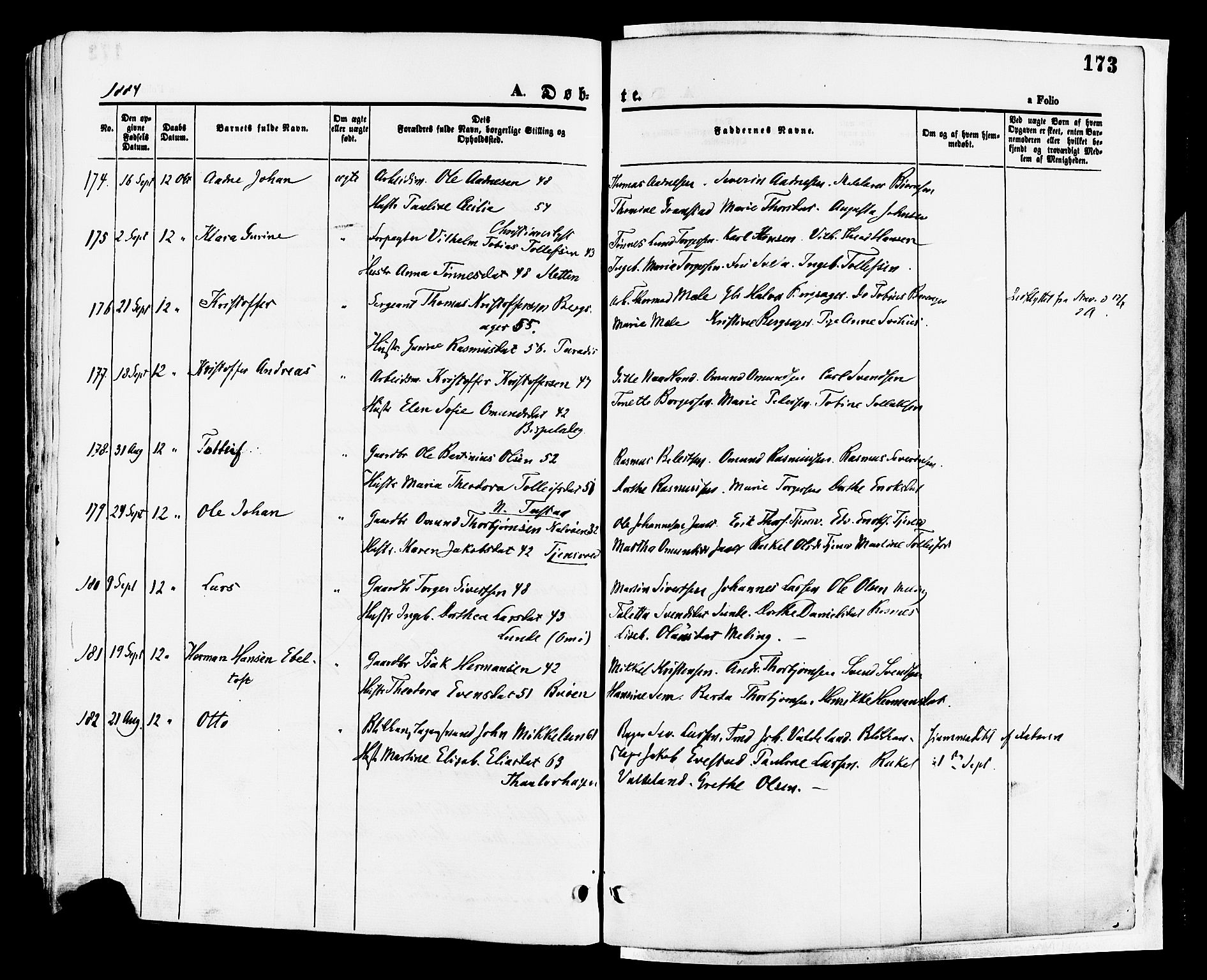 Hetland sokneprestkontor, SAST/A-101826/30/30BA/L0008: Parish register (official) no. A 8, 1877-1884, p. 173