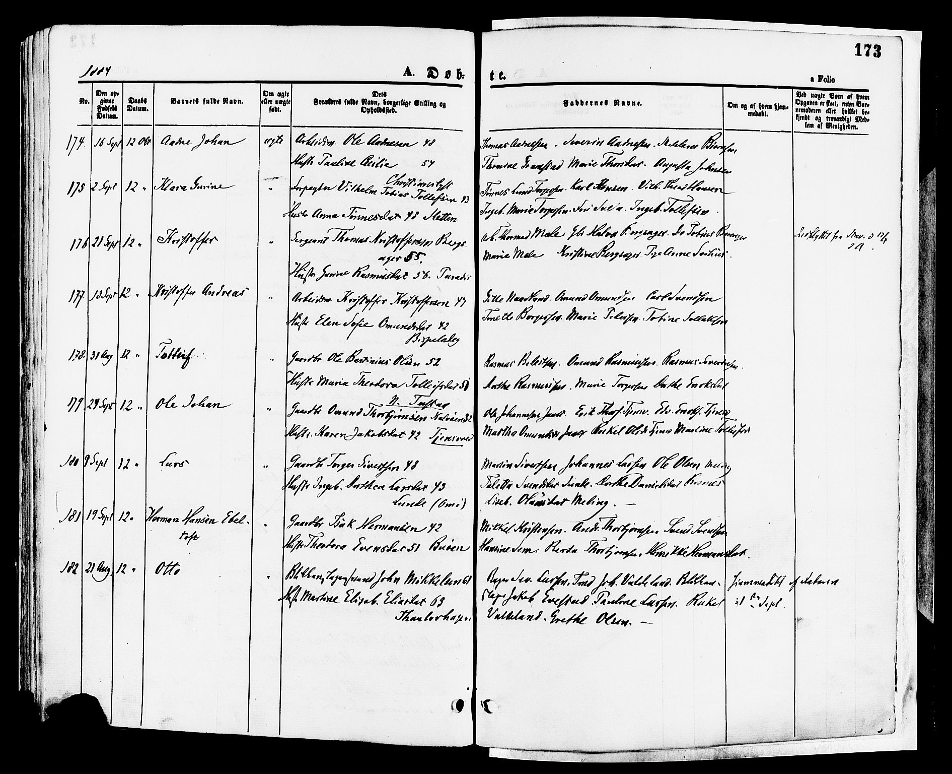 Hetland sokneprestkontor, AV/SAST-A-101826/30/30BA/L0008: Parish register (official) no. A 8, 1877-1884, p. 173