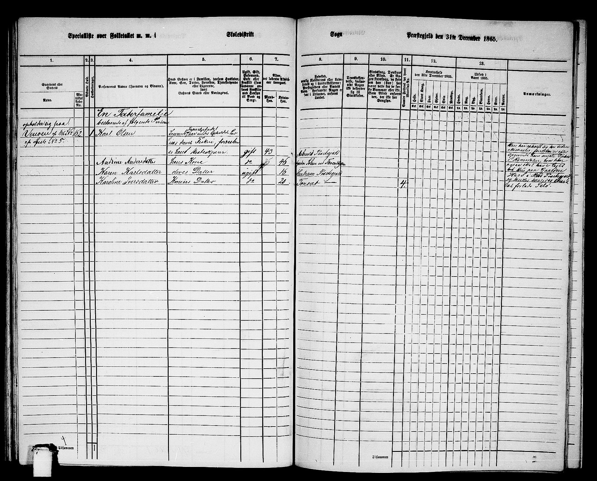 RA, 1865 census for Selje, 1865, p. 167