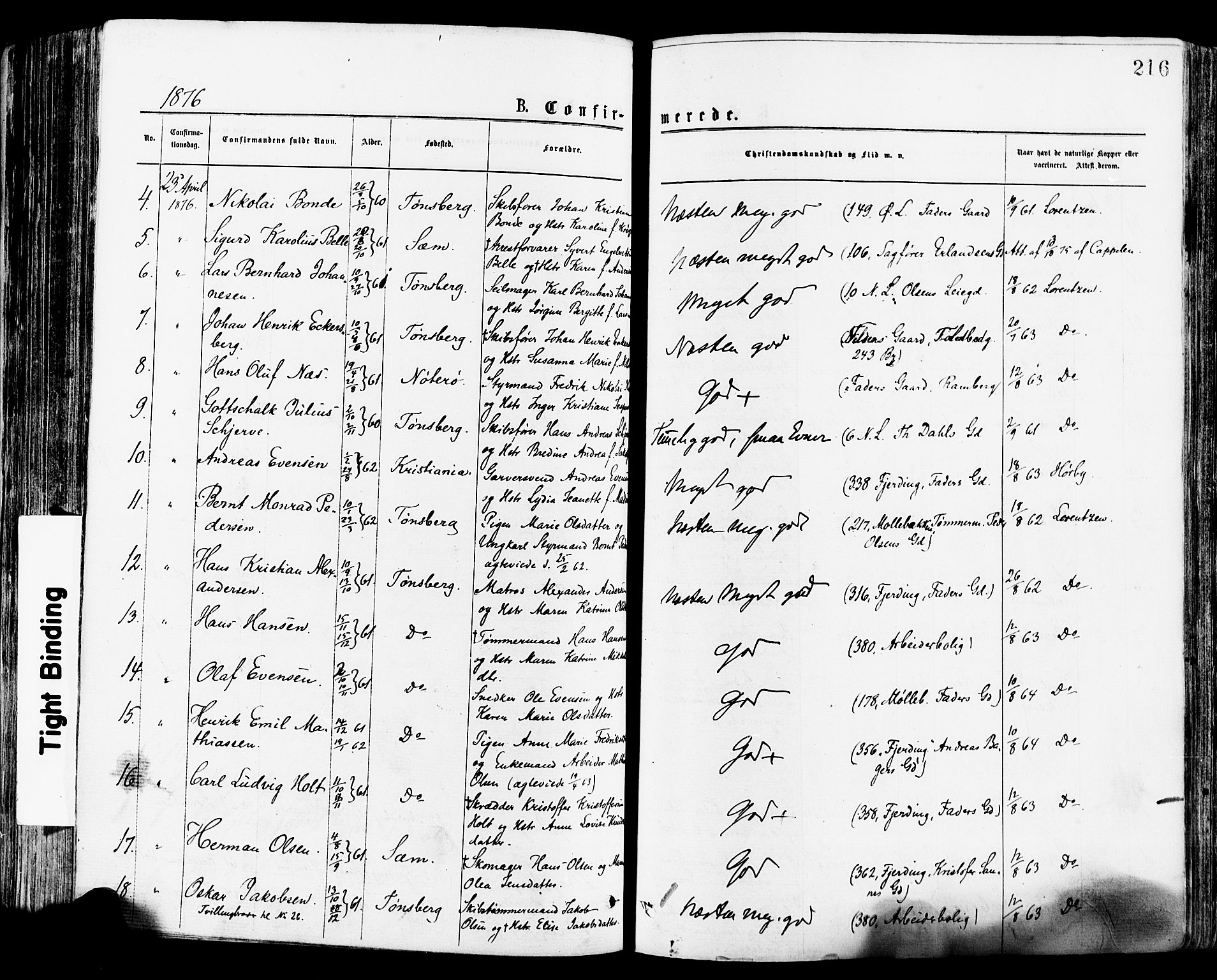 Tønsberg kirkebøker, AV/SAKO-A-330/F/Fa/L0010: Parish register (official) no. I 10, 1874-1880, p. 216