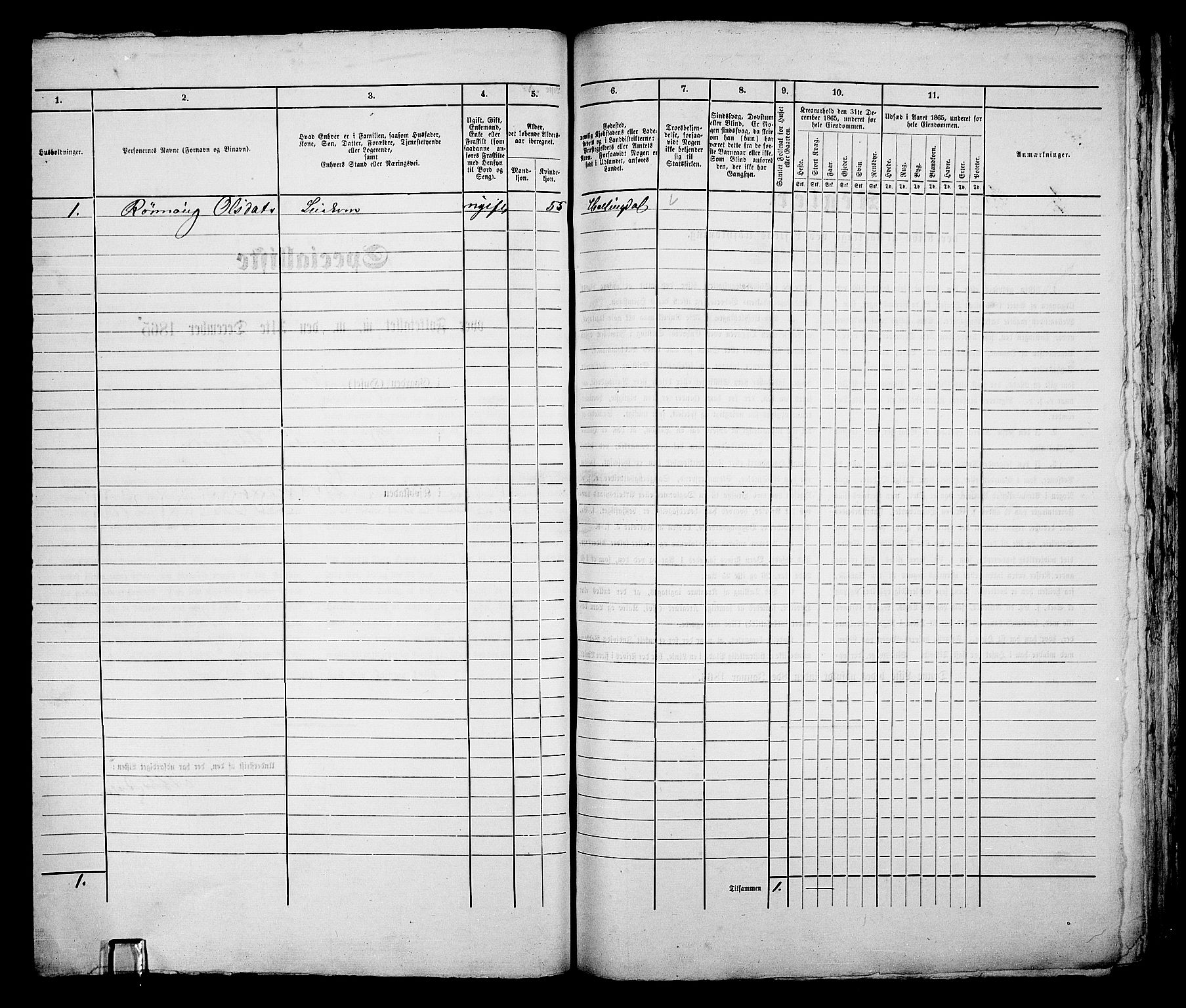 RA, 1865 census for Bragernes in Drammen, 1865, p. 507