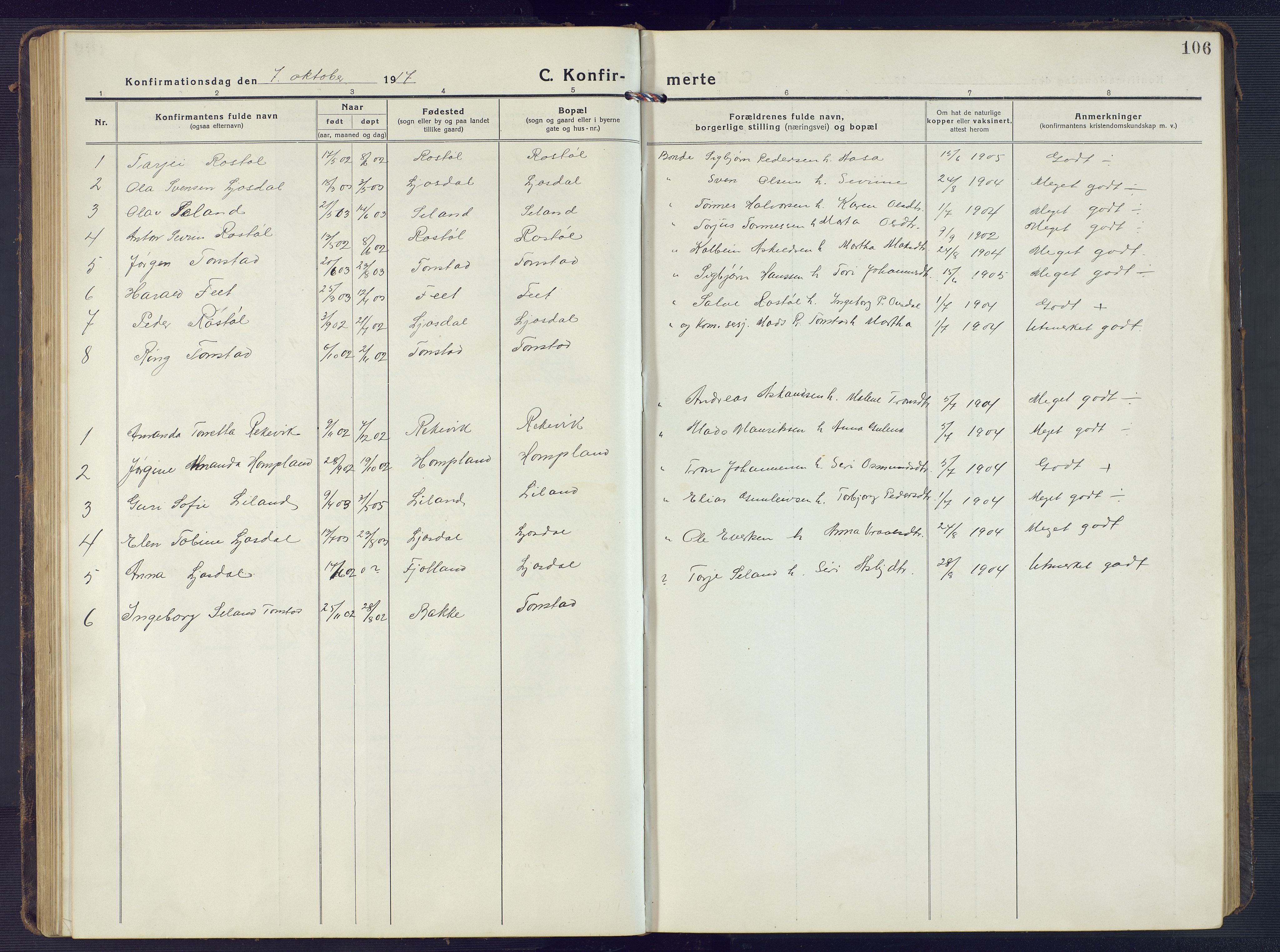 Sirdal sokneprestkontor, SAK/1111-0036/F/Fb/Fbb/L0005: Parish register (copy) no. B 5, 1916-1960, p. 106