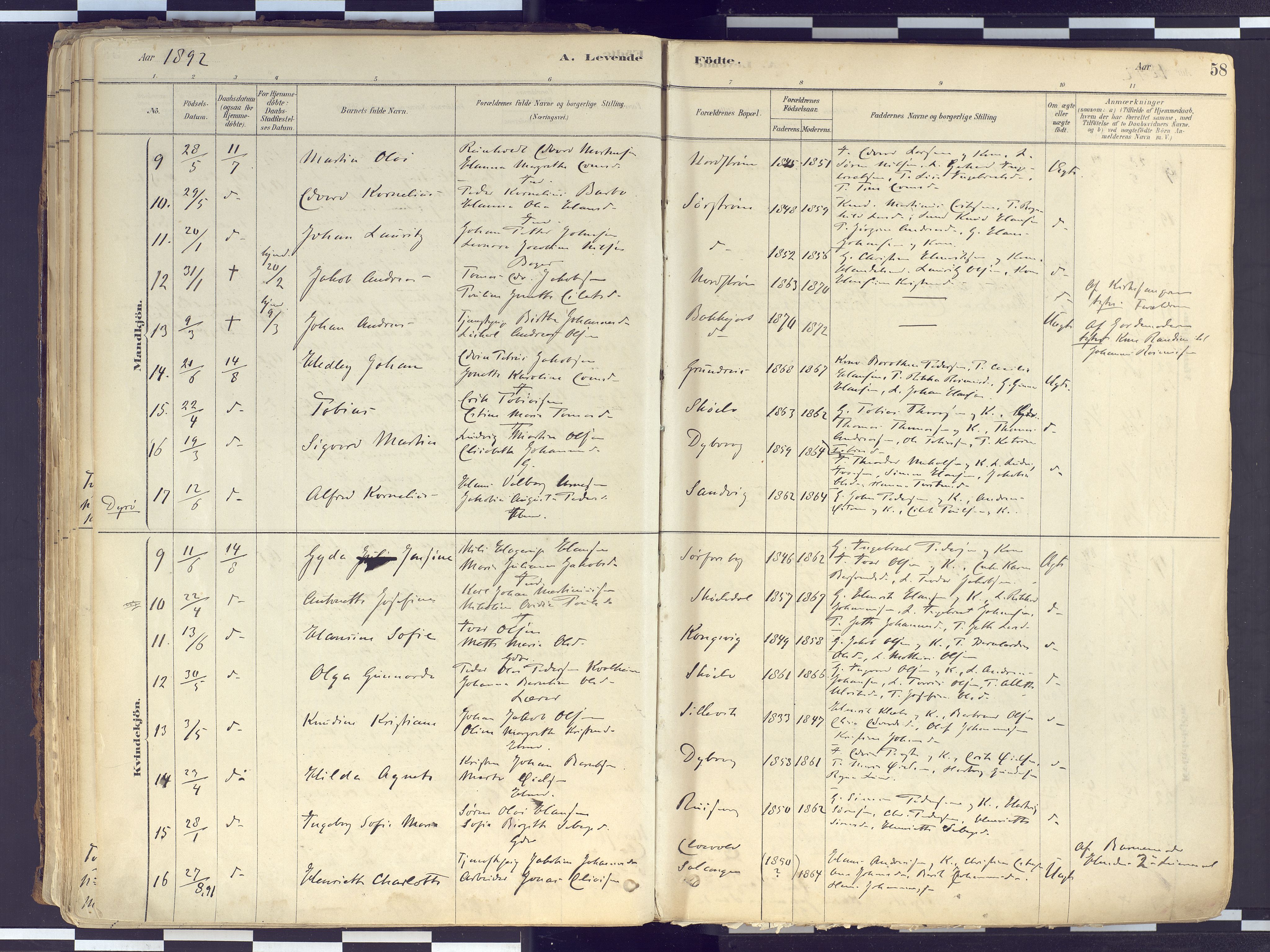 Tranøy sokneprestkontor, AV/SATØ-S-1313/I/Ia/Iaa/L0010kirke: Parish register (official) no. 10, 1878-1904, p. 58