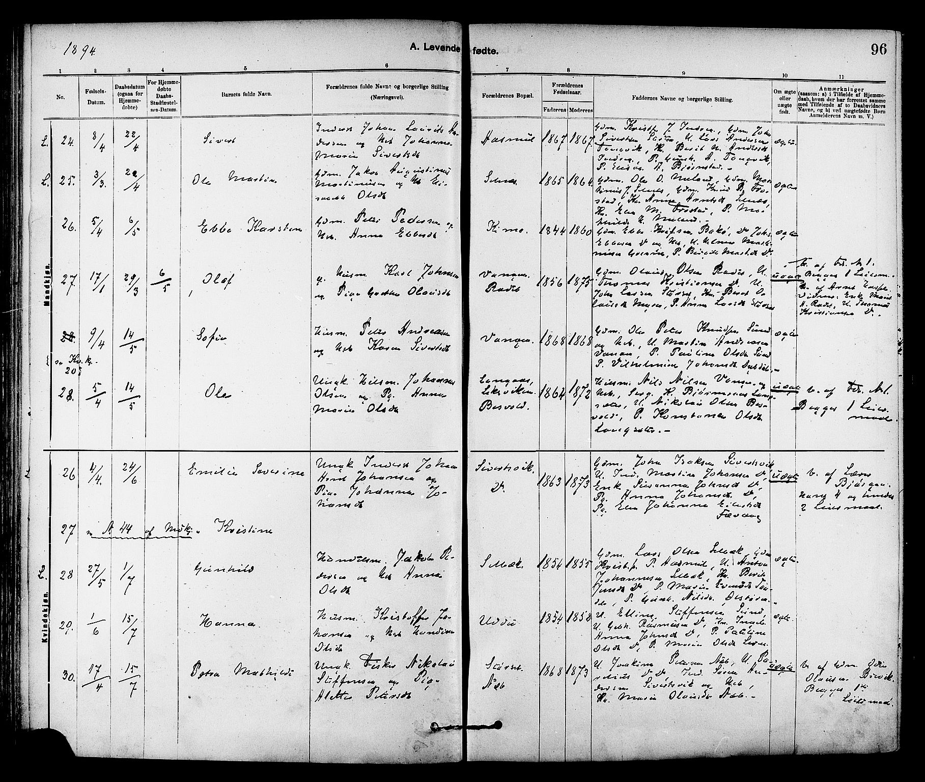 Ministerialprotokoller, klokkerbøker og fødselsregistre - Sør-Trøndelag, AV/SAT-A-1456/647/L0634: Parish register (official) no. 647A01, 1885-1896, p. 96