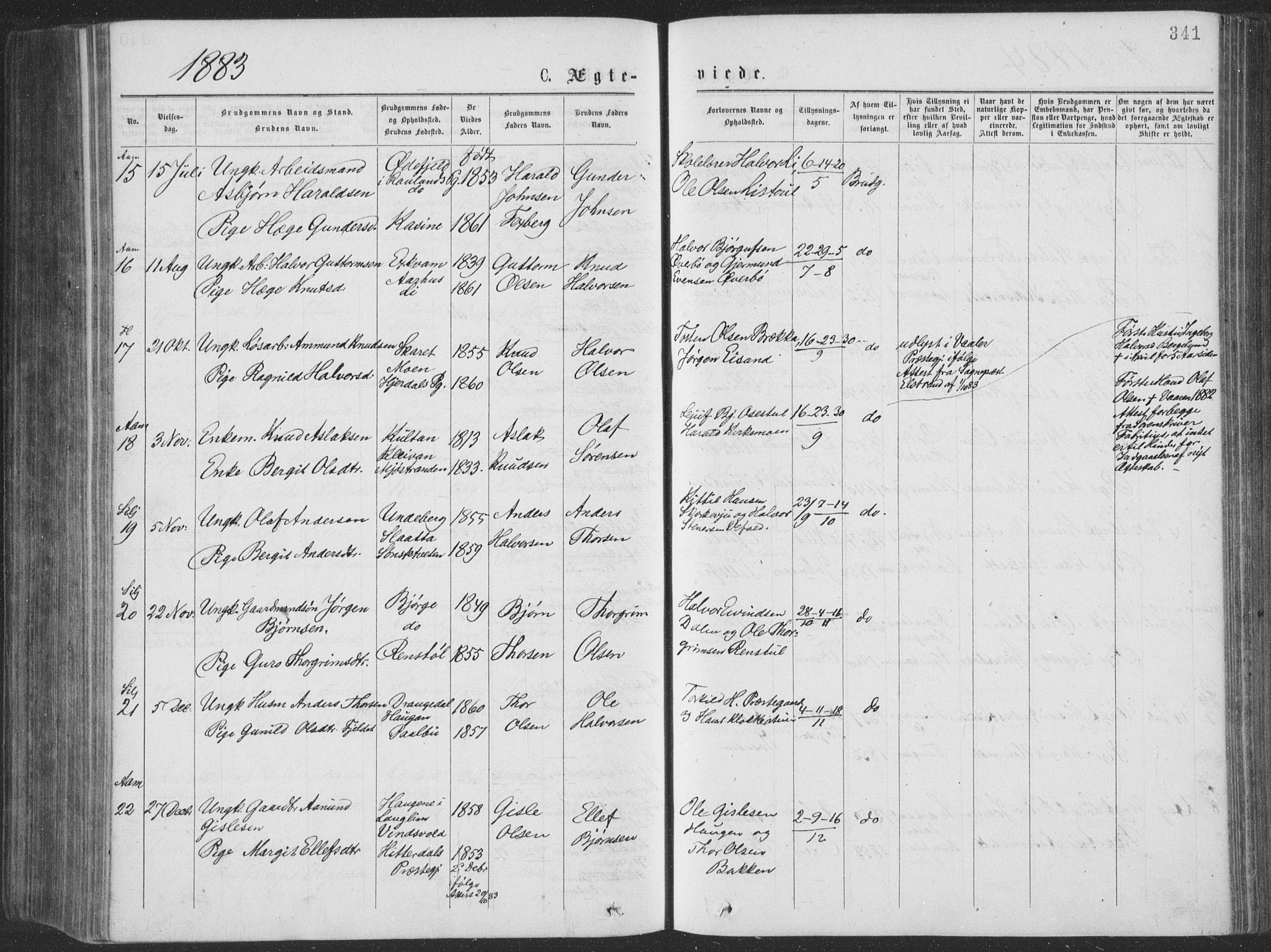 Seljord kirkebøker, SAKO/A-20/F/Fa/L0014: Parish register (official) no. I 14, 1877-1886, p. 341