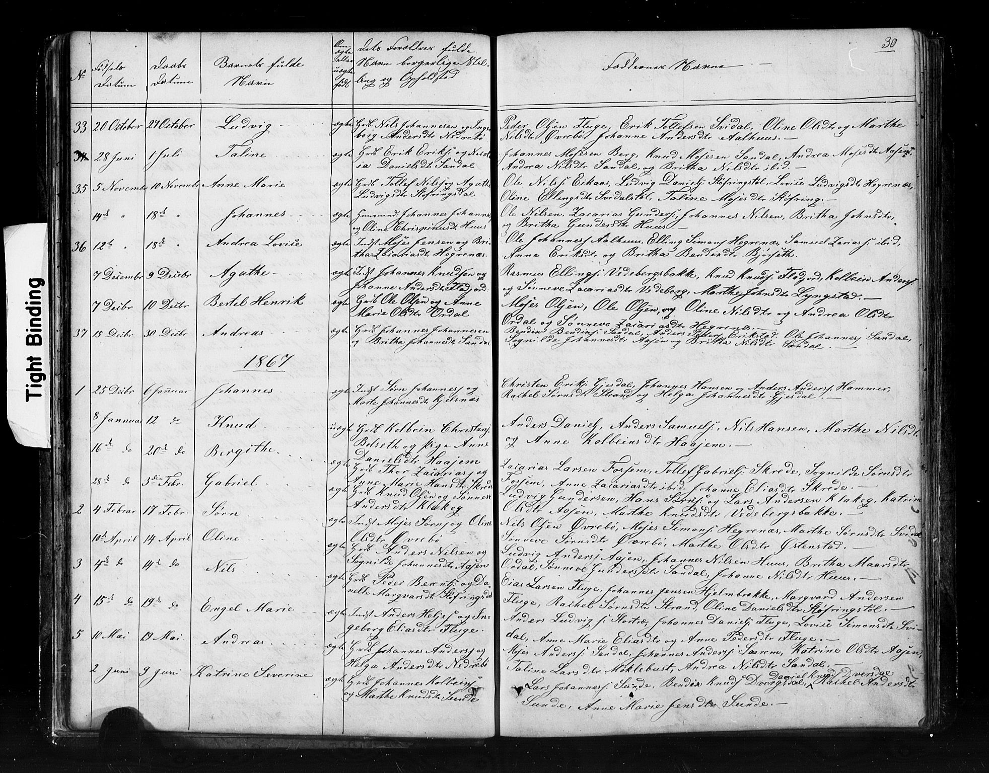 Jølster sokneprestembete, SAB/A-80701/H/Hab/Haba/L0001: Parish register (copy) no. A 1, 1853-1894, p. 30