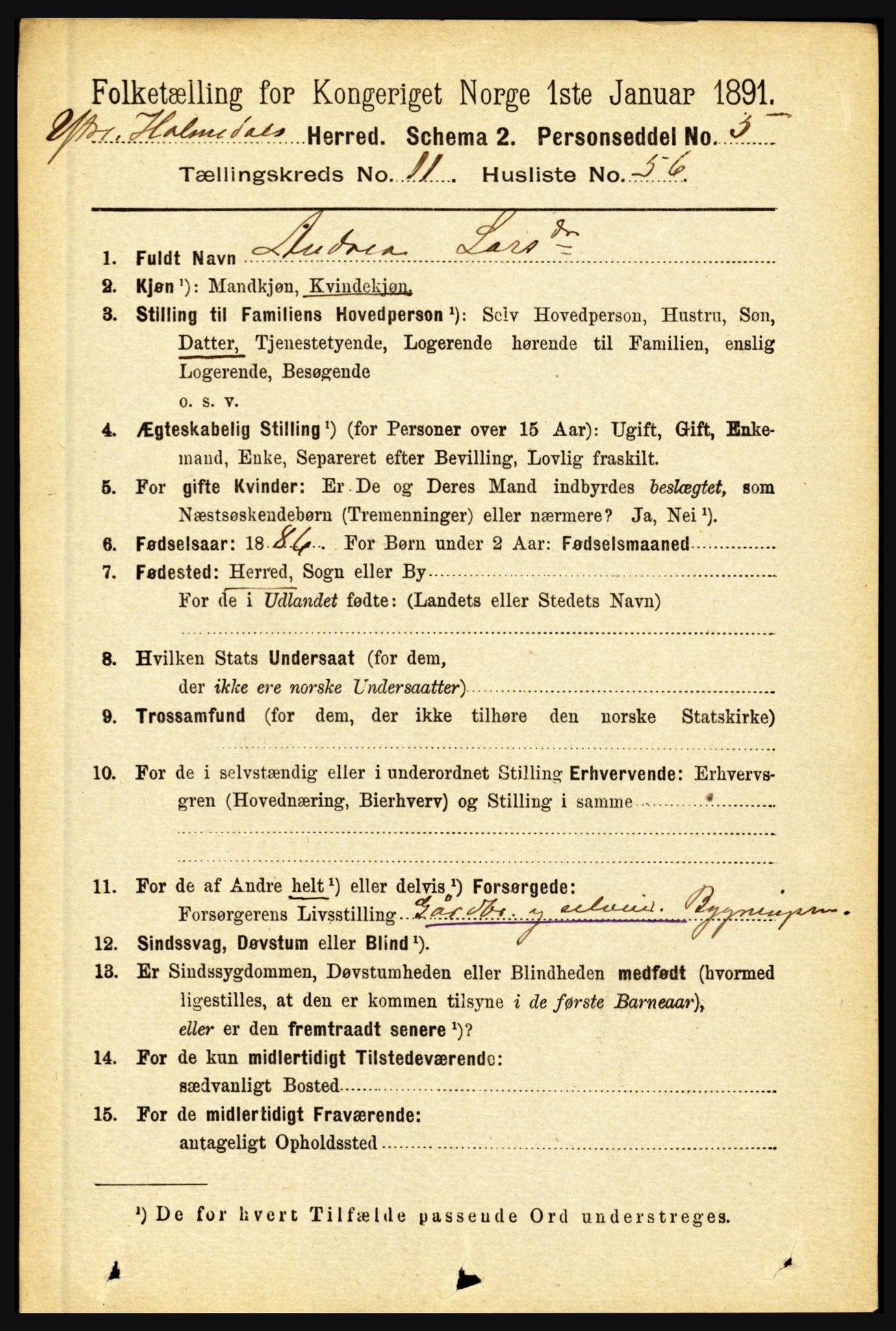 RA, 1891 census for 1429 Ytre Holmedal, 1891, p. 3142