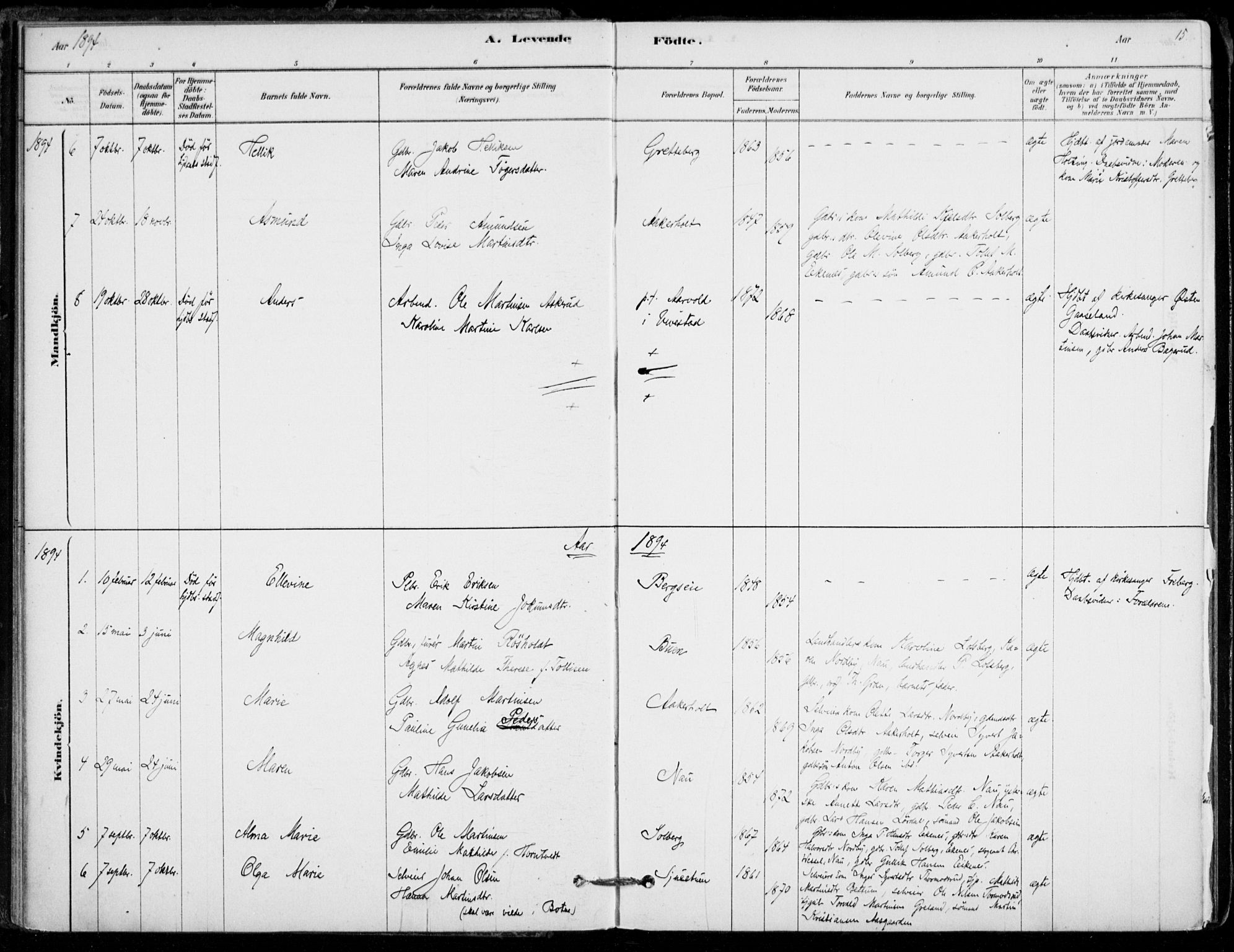 Hof kirkebøker, AV/SAKO-A-64/F/Fb/L0001: Parish register (official) no. II 1, 1878-1907, p. 15