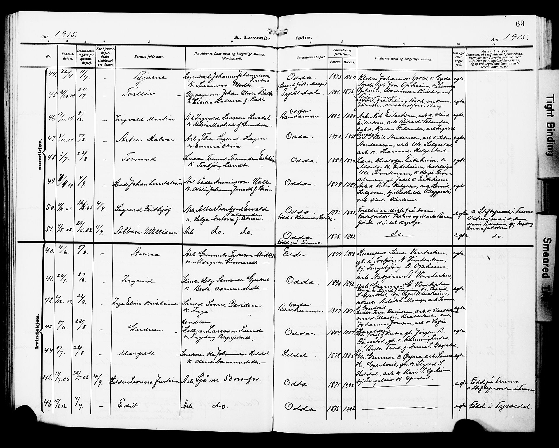 Odda Sokneprestembete, AV/SAB-A-77201/H/Hab: Parish register (copy) no. A 8, 1910-1923, p. 63