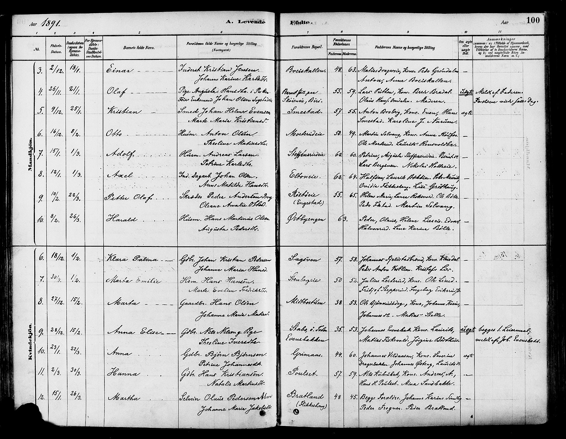 Vestre Toten prestekontor, SAH/PREST-108/H/Ha/Haa/L0009: Parish register (official) no. 9, 1878-1894, p. 100