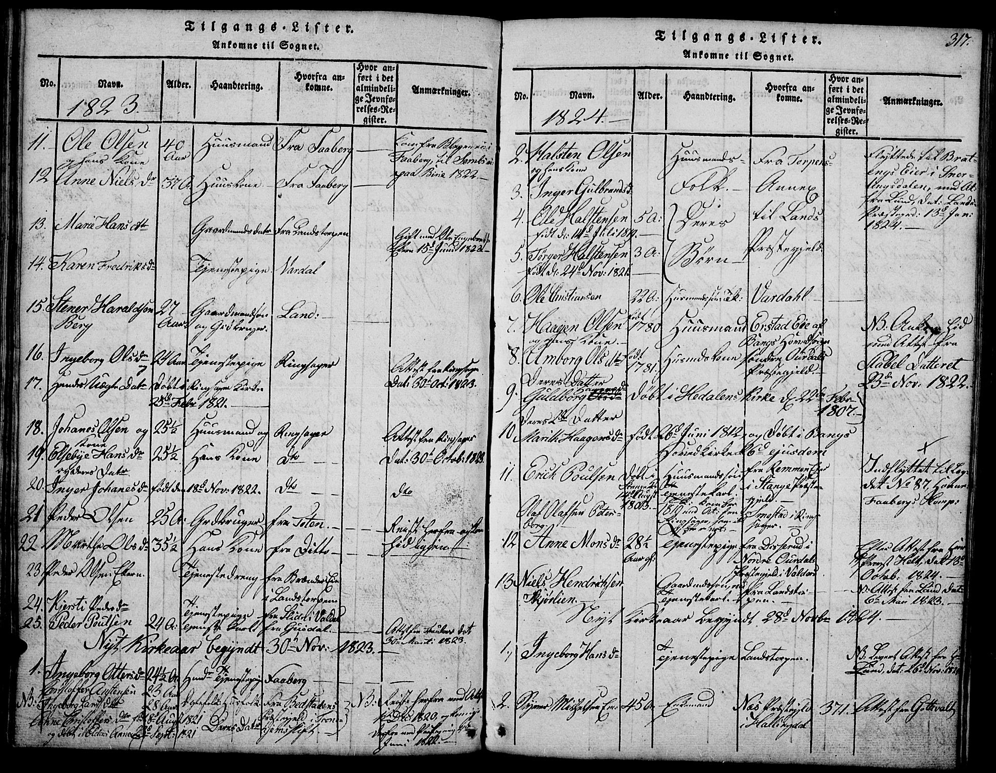 Biri prestekontor, SAH/PREST-096/H/Ha/Hab/L0001: Parish register (copy) no. 1, 1814-1828, p. 317