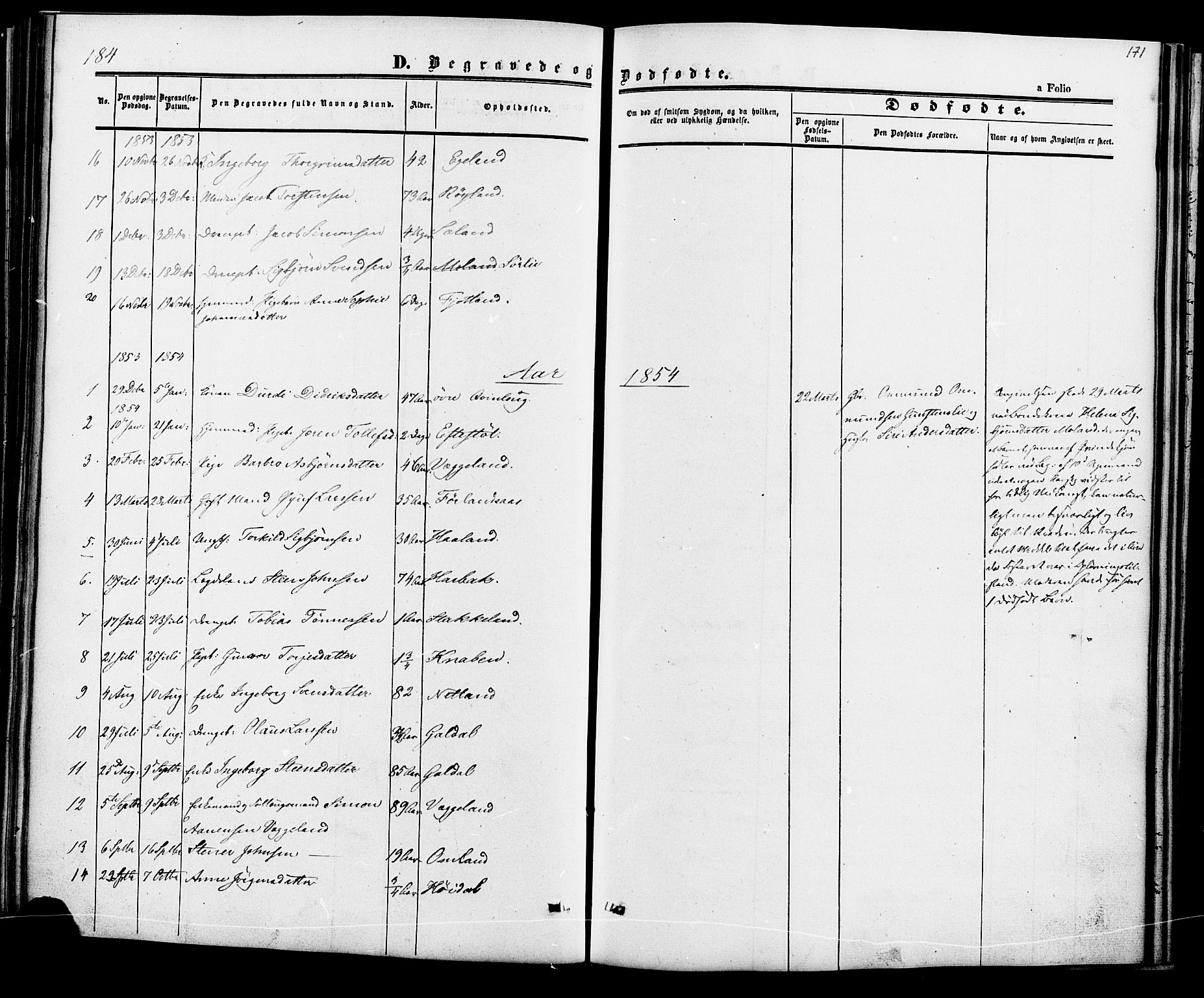 Fjotland sokneprestkontor, AV/SAK-1111-0010/F/Fa/L0001: Parish register (official) no. A 1, 1850-1879, p. 171