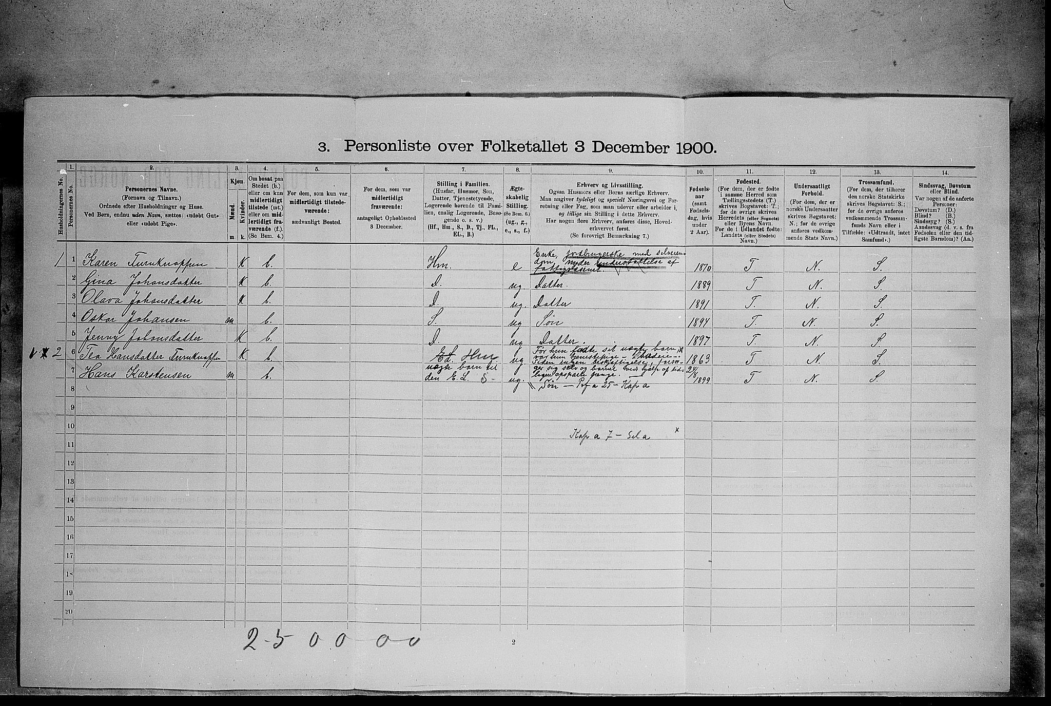 SAH, 1900 census for Elverum, 1900, p. 163