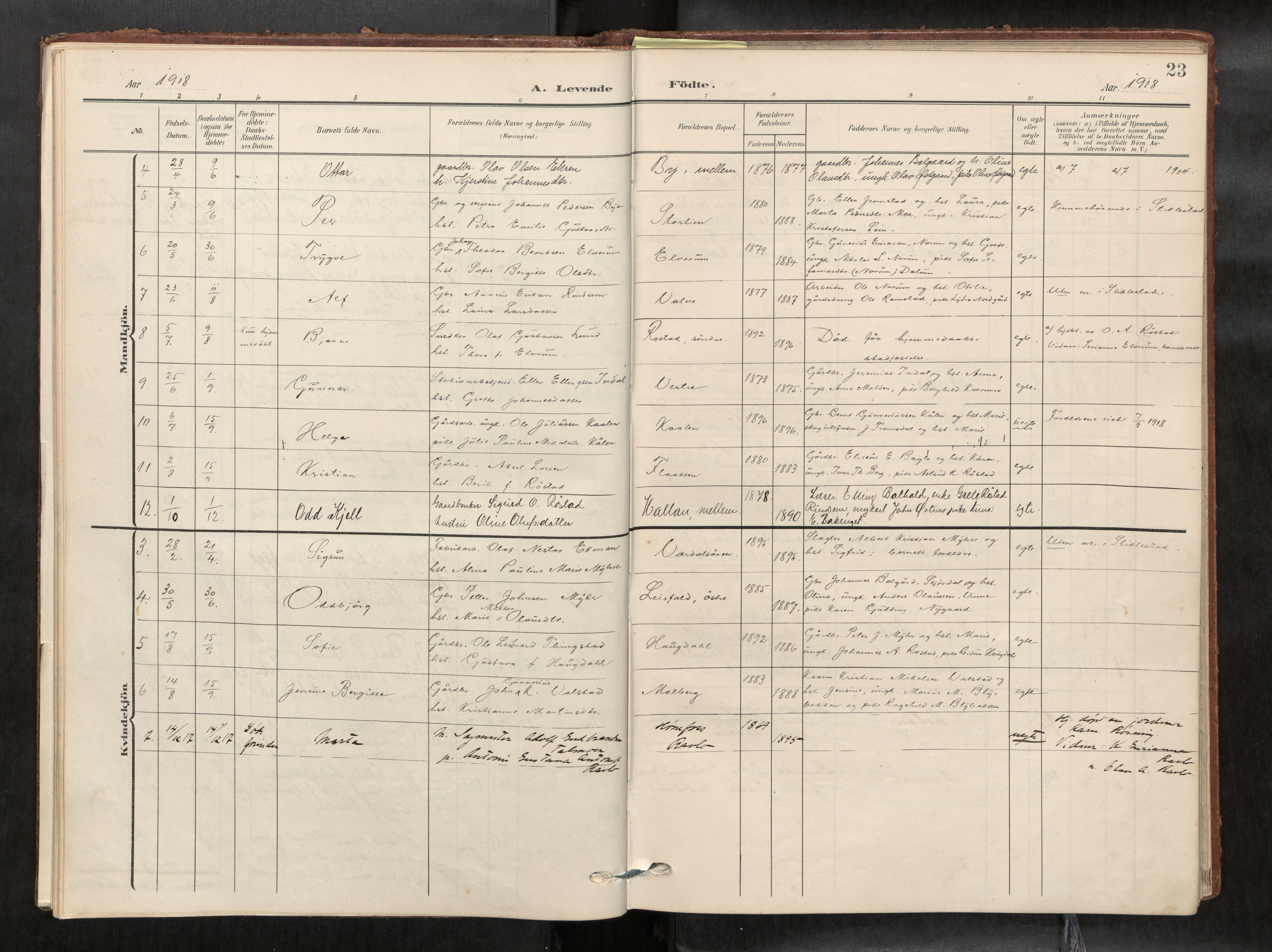 Verdal sokneprestkontor, SAT/A-1156/2/H/Haa/L0003: Parish register (official) no. 3, 1907-1921, p. 23