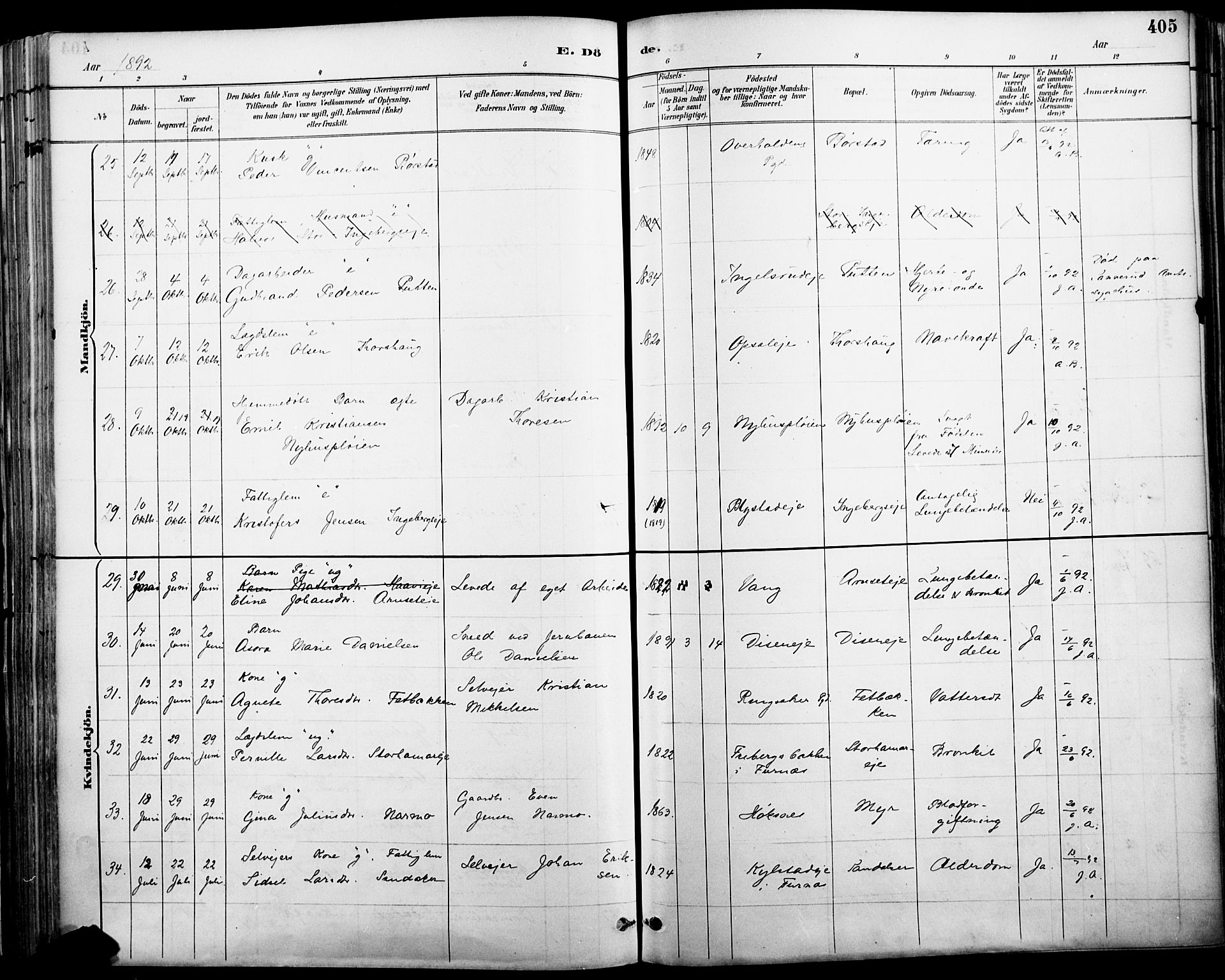 Vang prestekontor, Hedmark, AV/SAH-PREST-008/H/Ha/Haa/L0019A: Parish register (official) no. 19, 1886-1900, p. 405