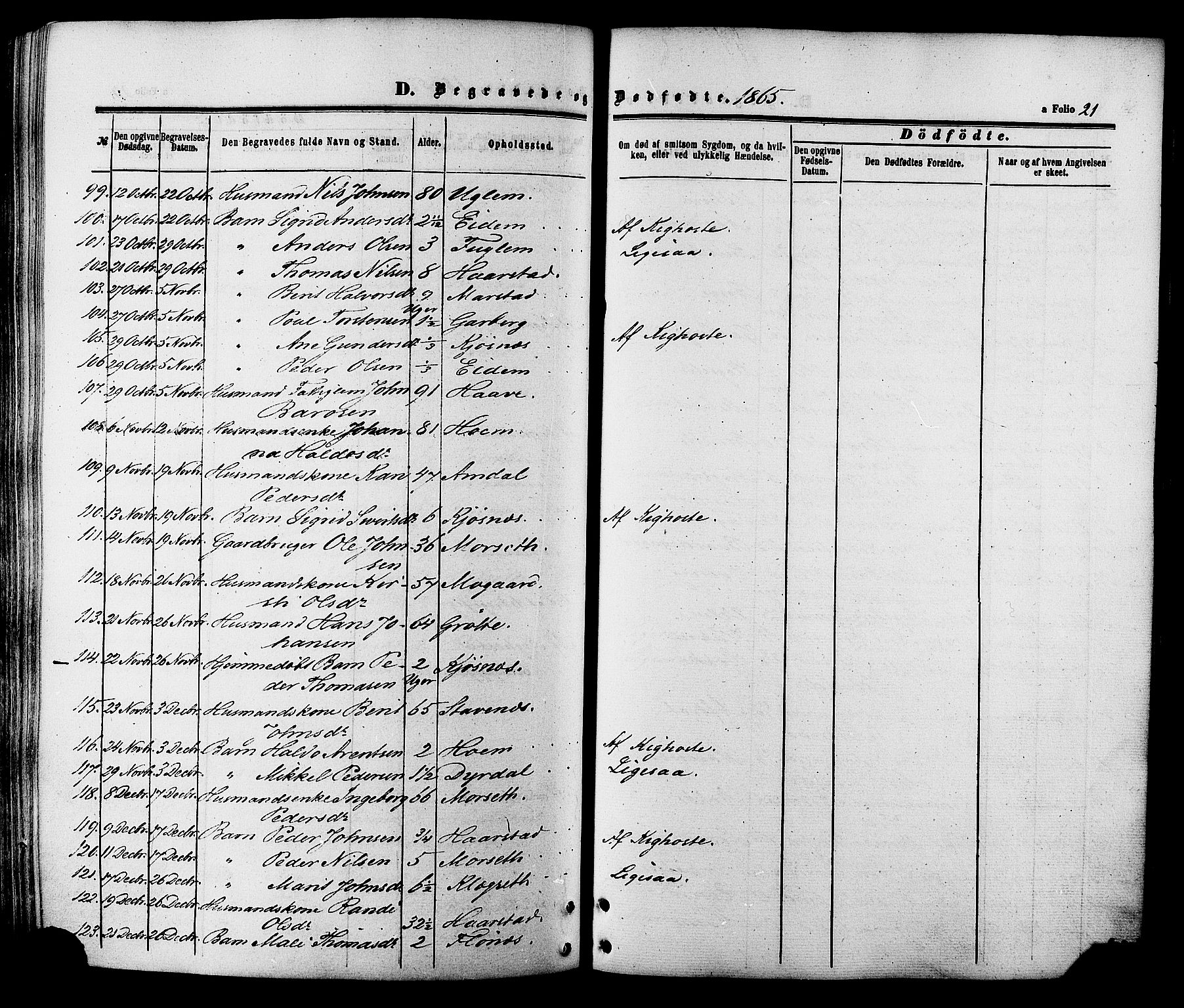 Ministerialprotokoller, klokkerbøker og fødselsregistre - Sør-Trøndelag, AV/SAT-A-1456/695/L1147: Parish register (official) no. 695A07, 1860-1877, p. 21