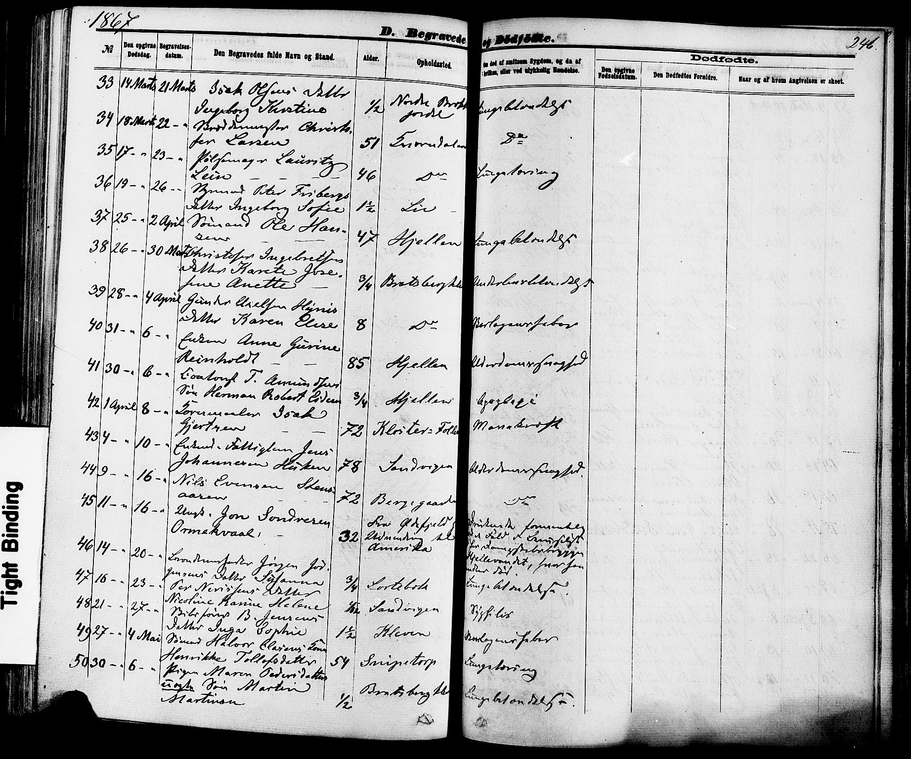 Skien kirkebøker, AV/SAKO-A-302/F/Fa/L0008: Parish register (official) no. 8, 1866-1877, p. 246