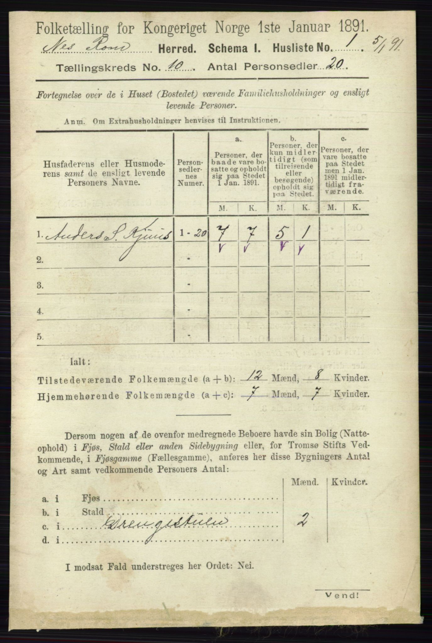 RA, 1891 census for 0236 Nes, 1891, p. 5713