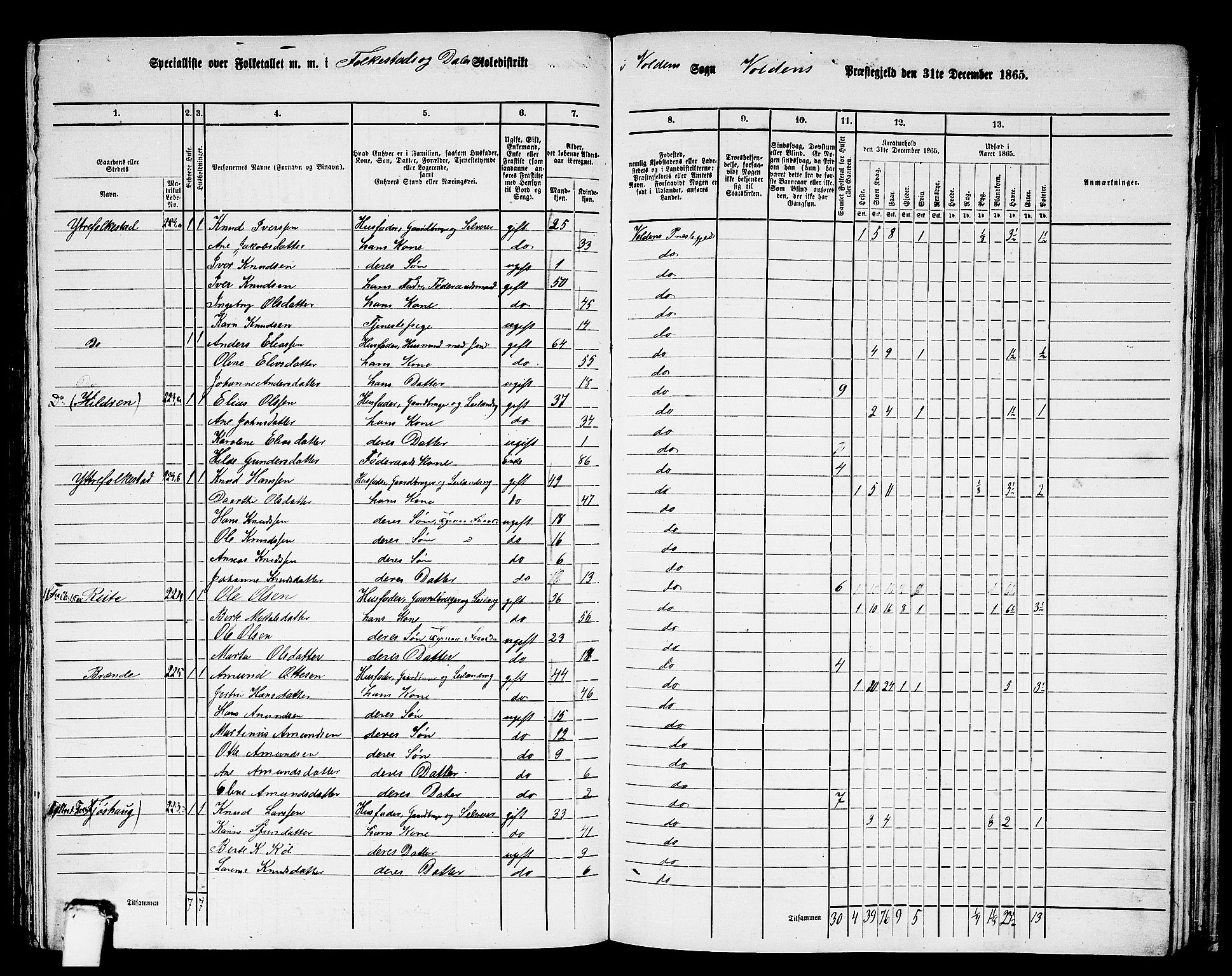 RA, 1865 census for Volda, 1865, p. 125