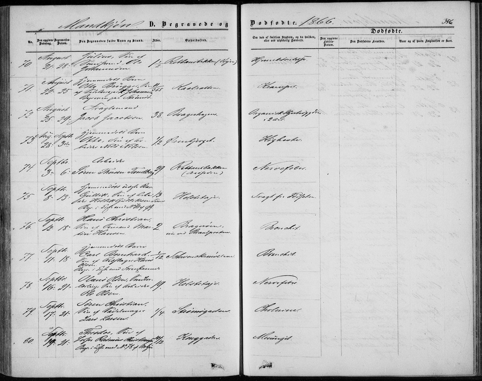 Bragernes kirkebøker, AV/SAKO-A-6/F/Fb/L0003: Parish register (official) no. II 3, 1860-1868, p. 356