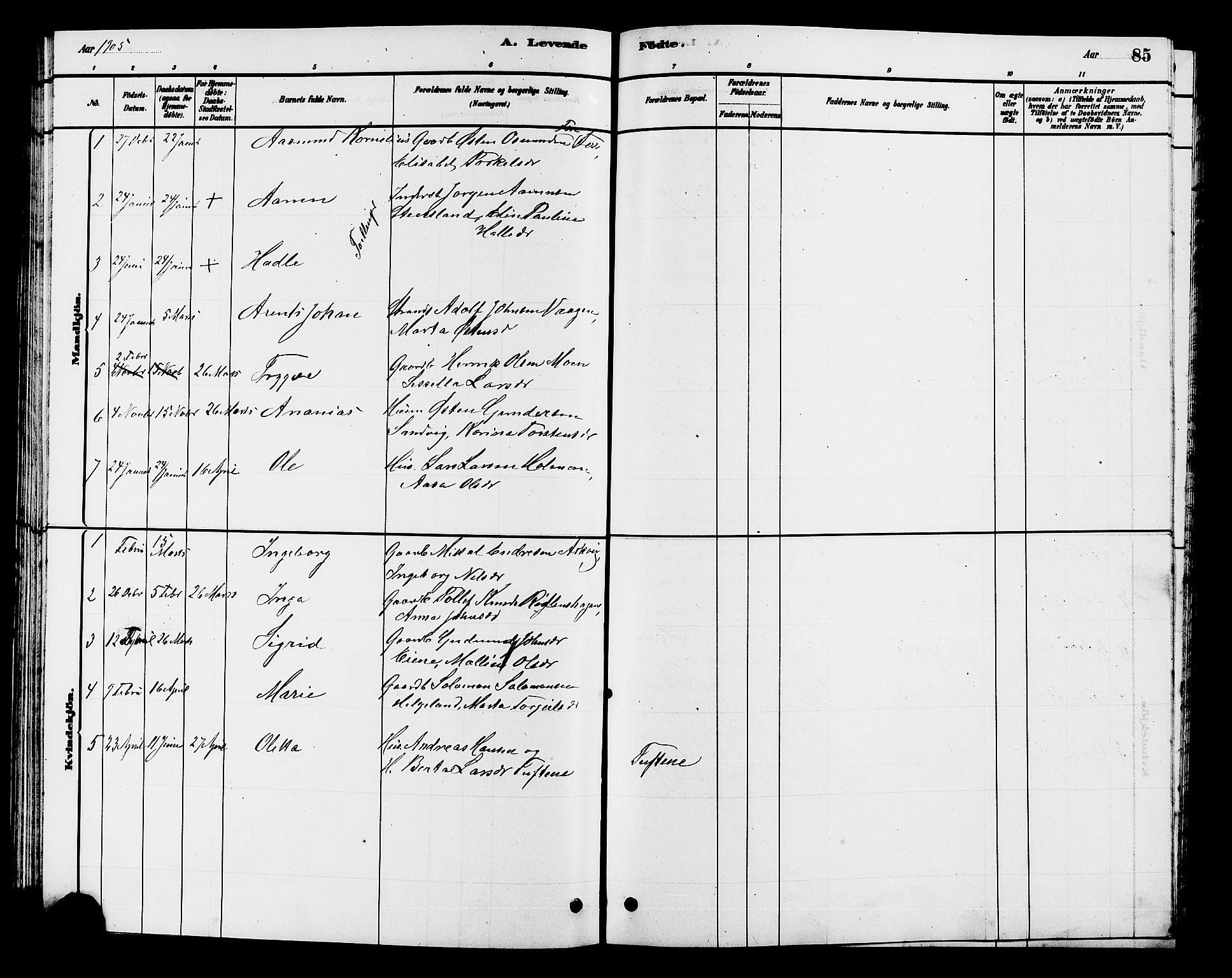 Hjelmeland sokneprestkontor, AV/SAST-A-101843/01/V/L0007: Parish register (copy) no. B 7, 1880-1909, p. 85