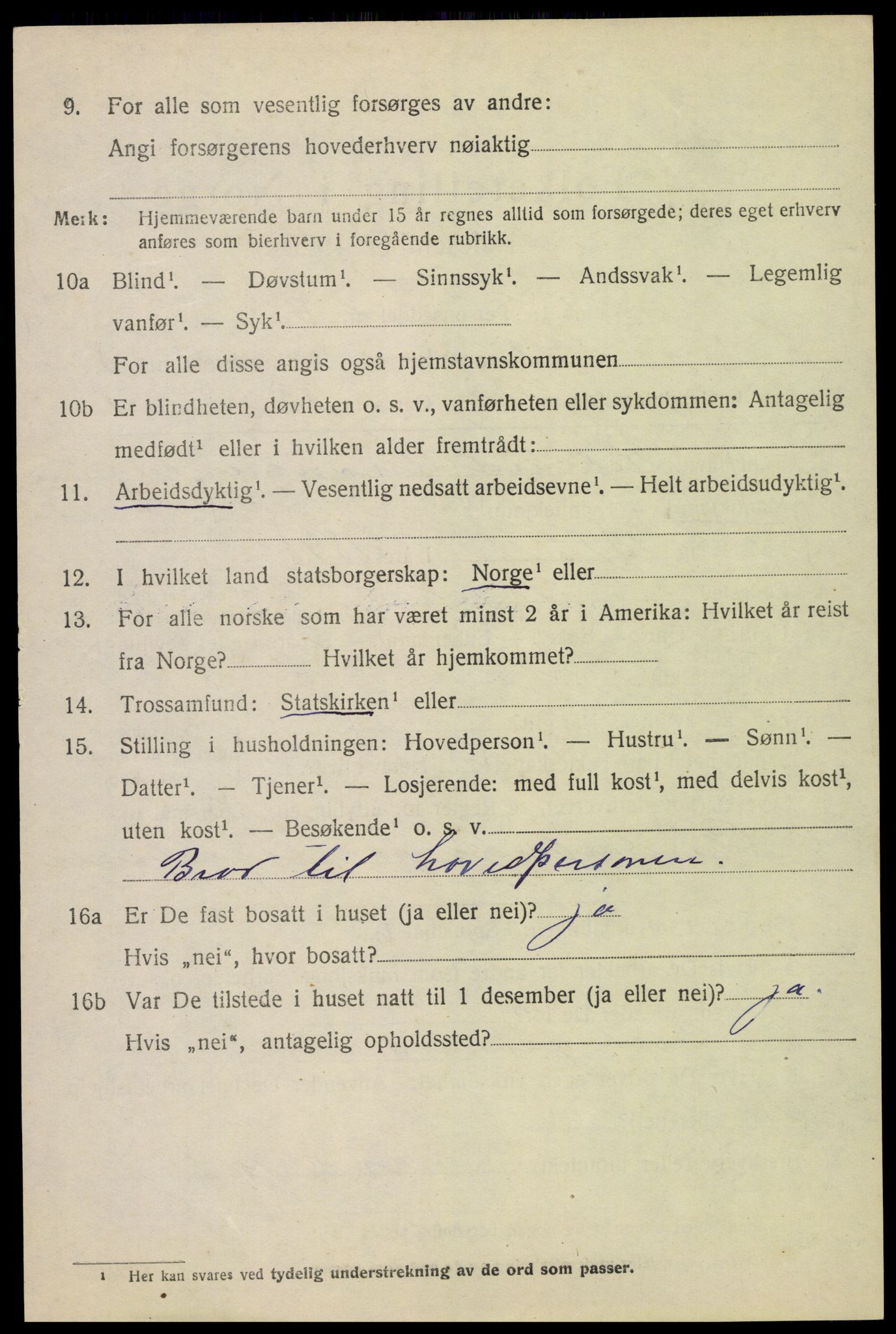 SAH, 1920 census for Skjåk, 1920, p. 4263